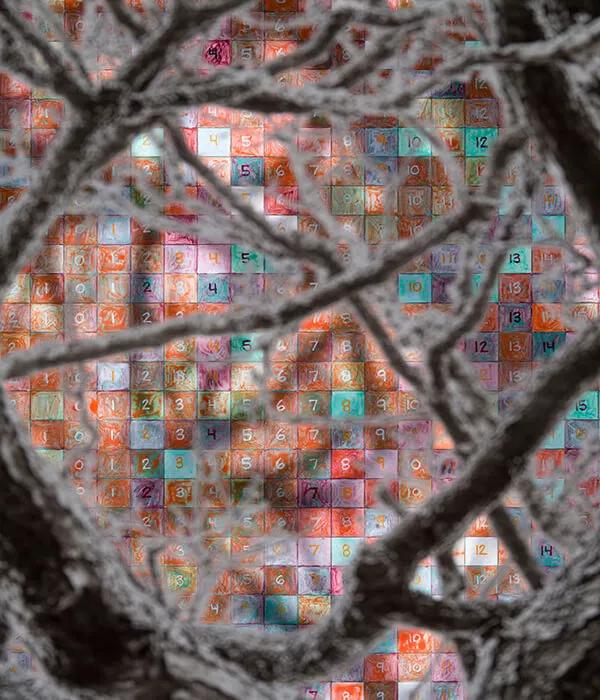 Thumbnail image for exhibition titled Numbers and Trees: London Series 2, Tree #4, Millennium Bridge