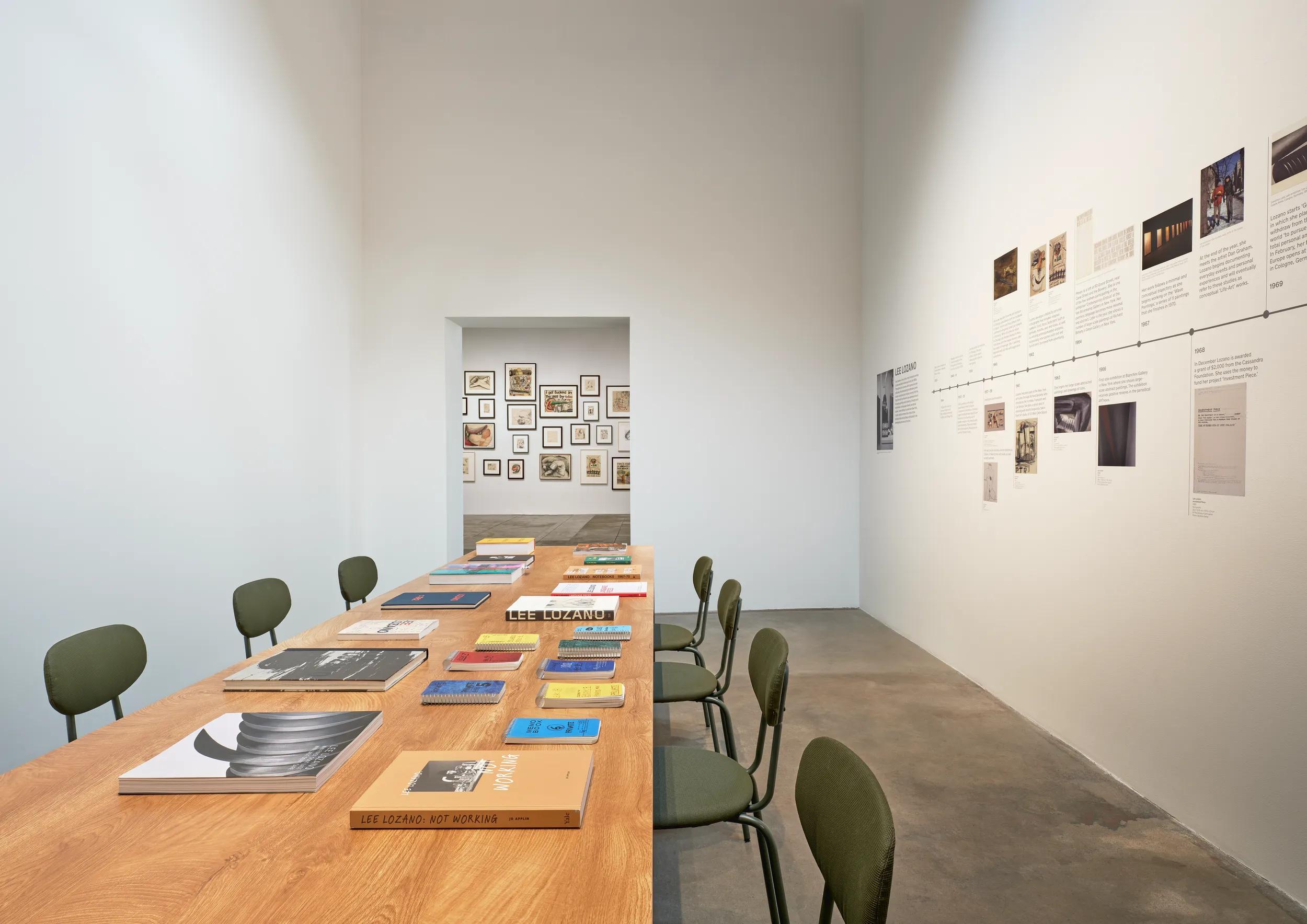 Installation view image for INSTALLATION VIEWS