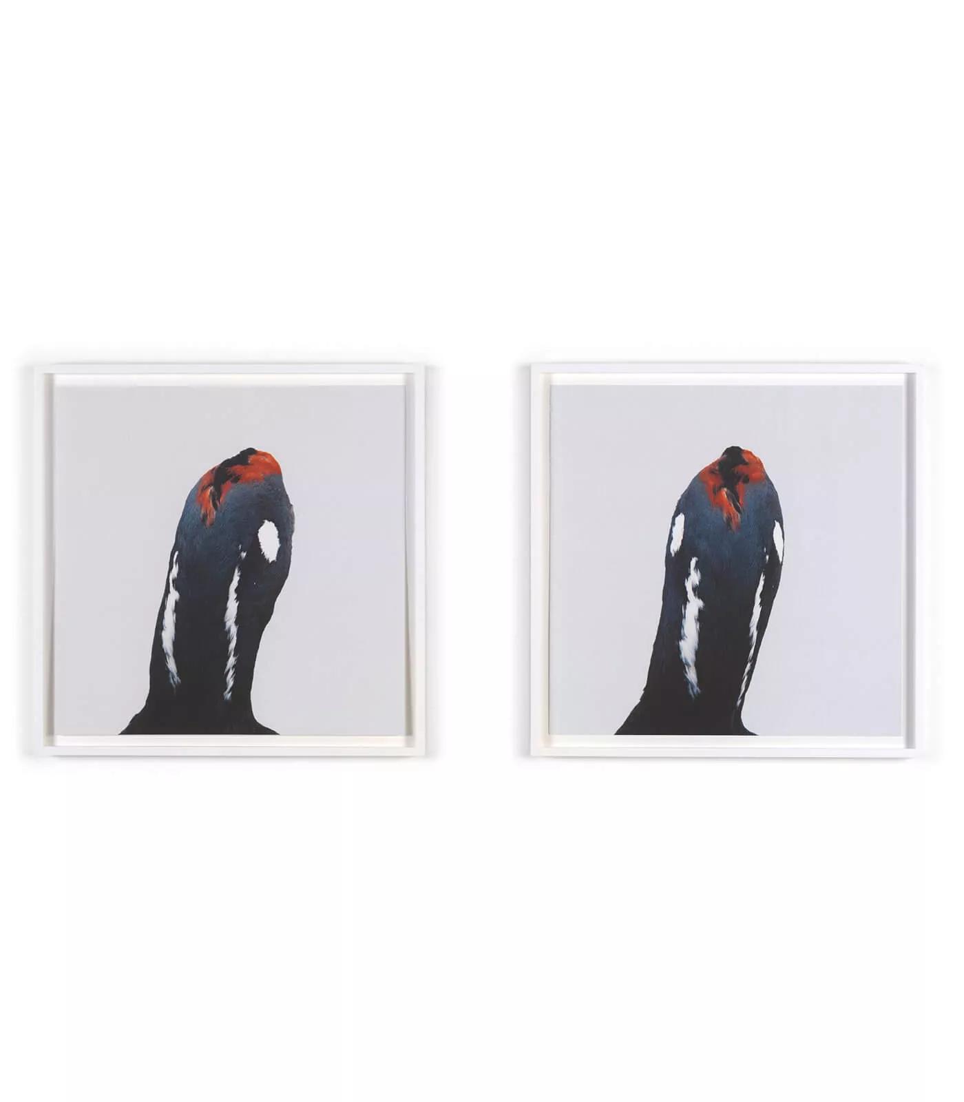 Image for exhibition titled Roni Horn