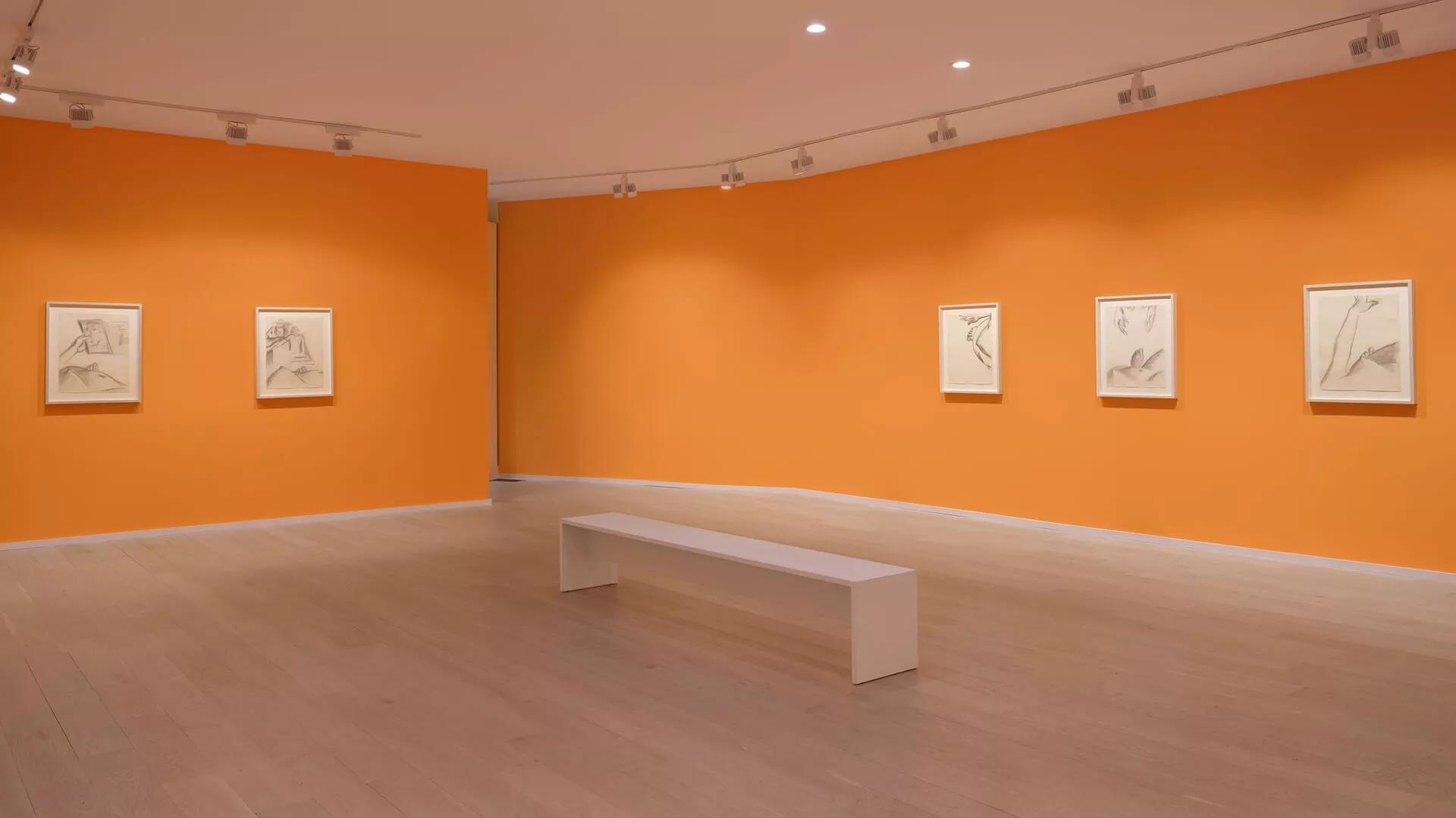 Image for exhibition 