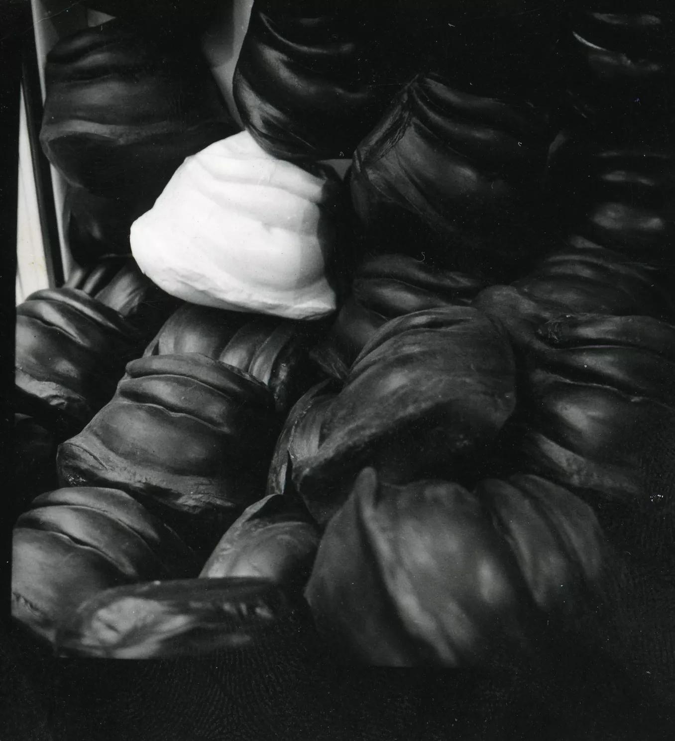 Image for exhibition titled Alina Szapocznikow