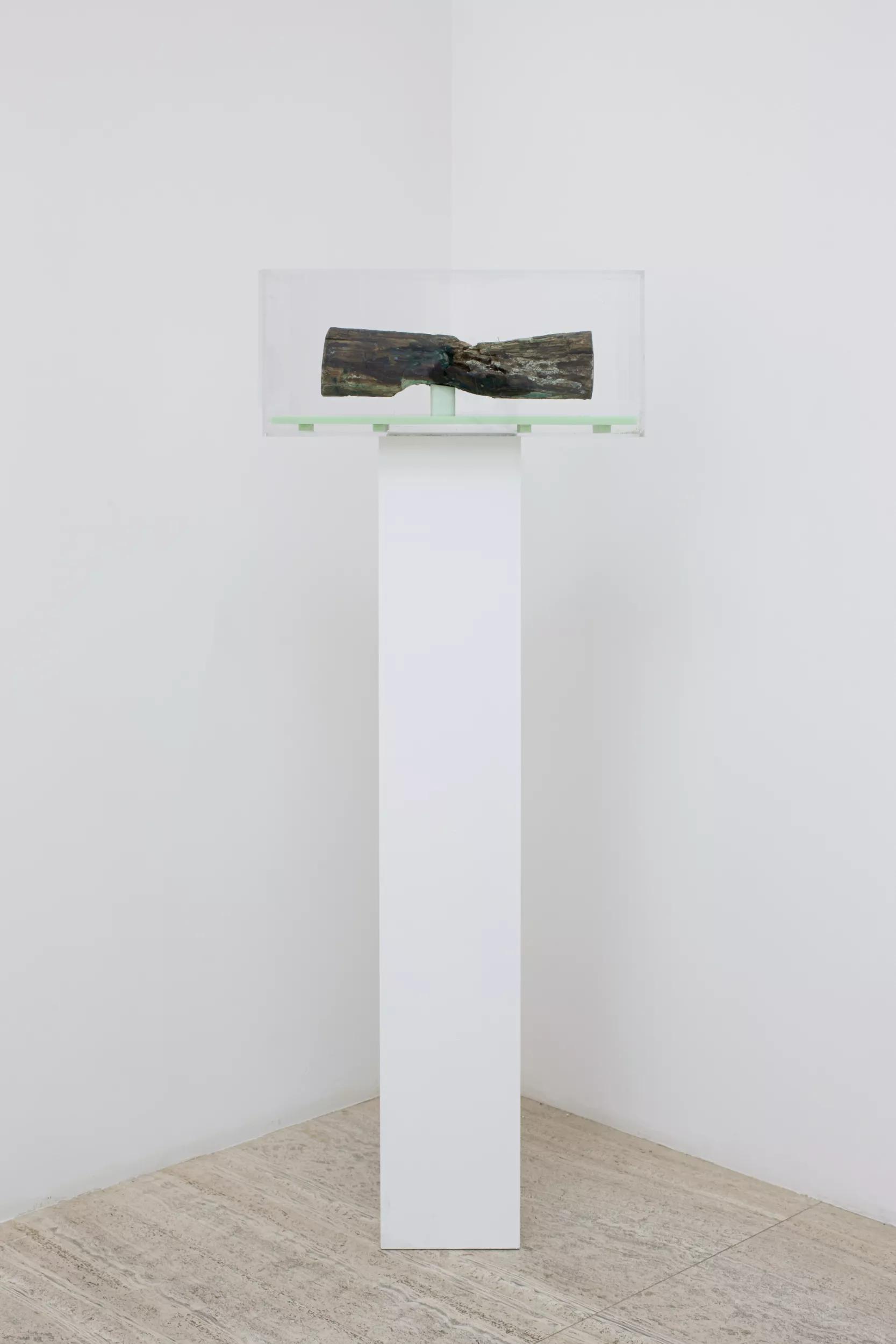 Image for exhibition 
