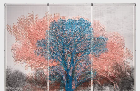 Thumbnail image for exhibition titled Charles Gaines<br>Numbers and Trees (Arizona Series)