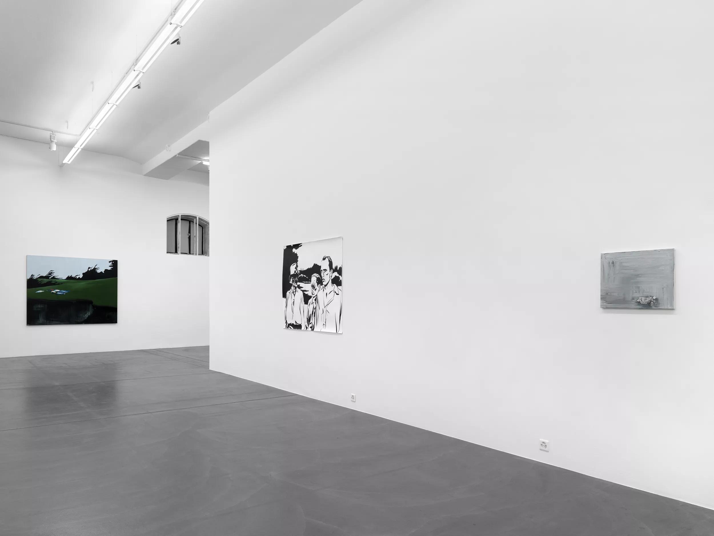 Installation view image for Installation views