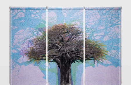 Thumbnail image for exhibition titled Charles Gaines