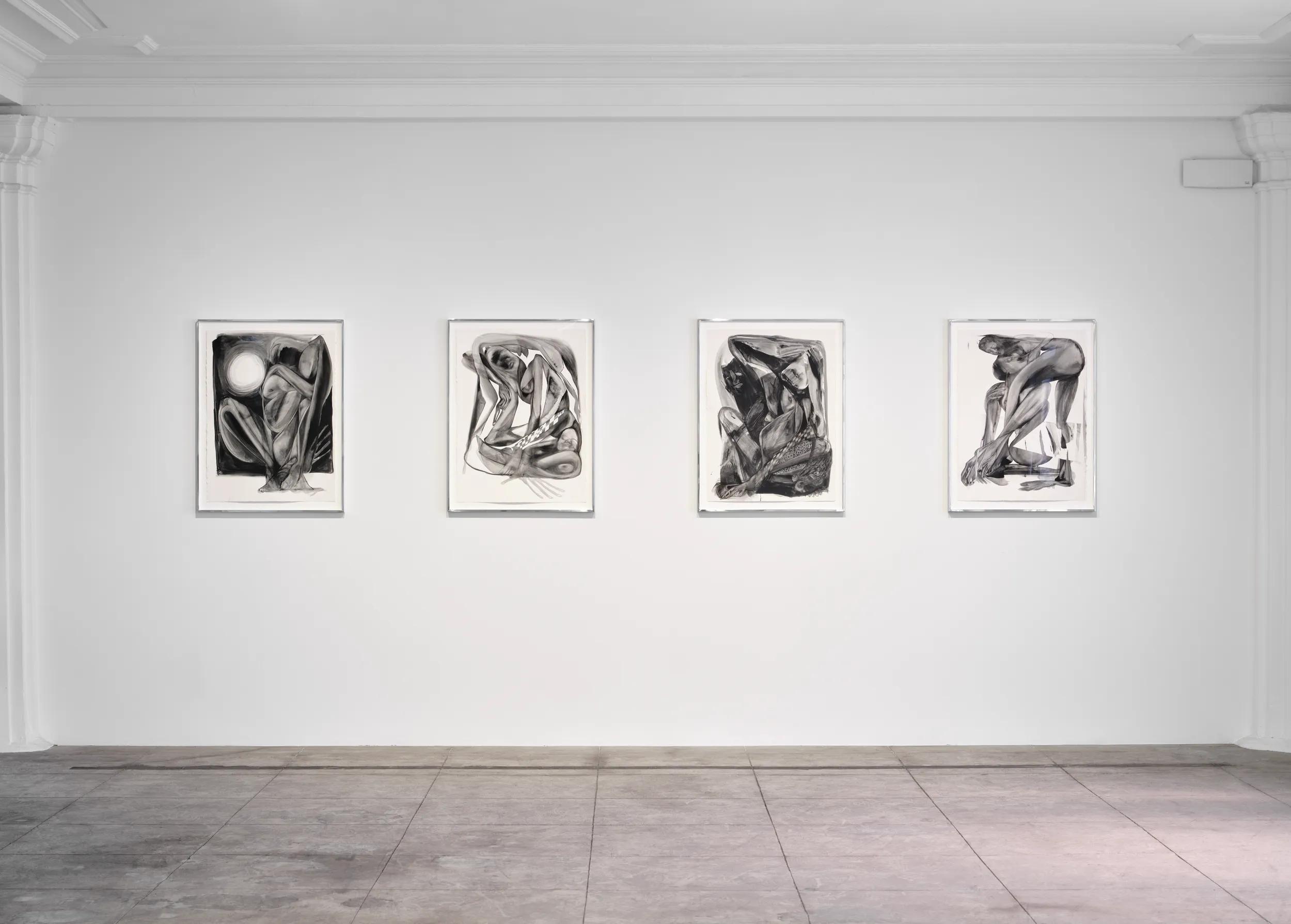 Installation view image for Installation Views