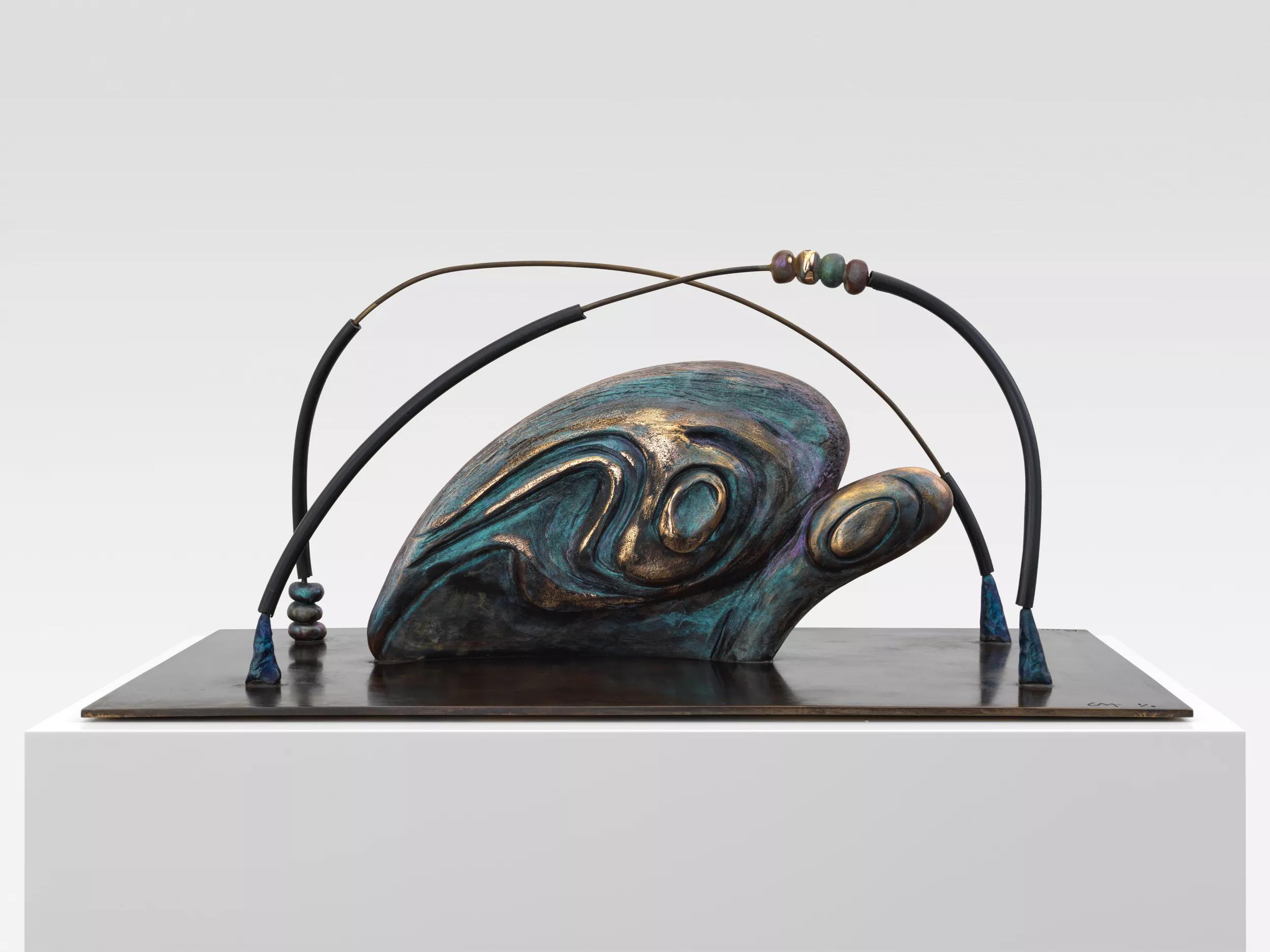 Image for exhibition titled Camille Henrot