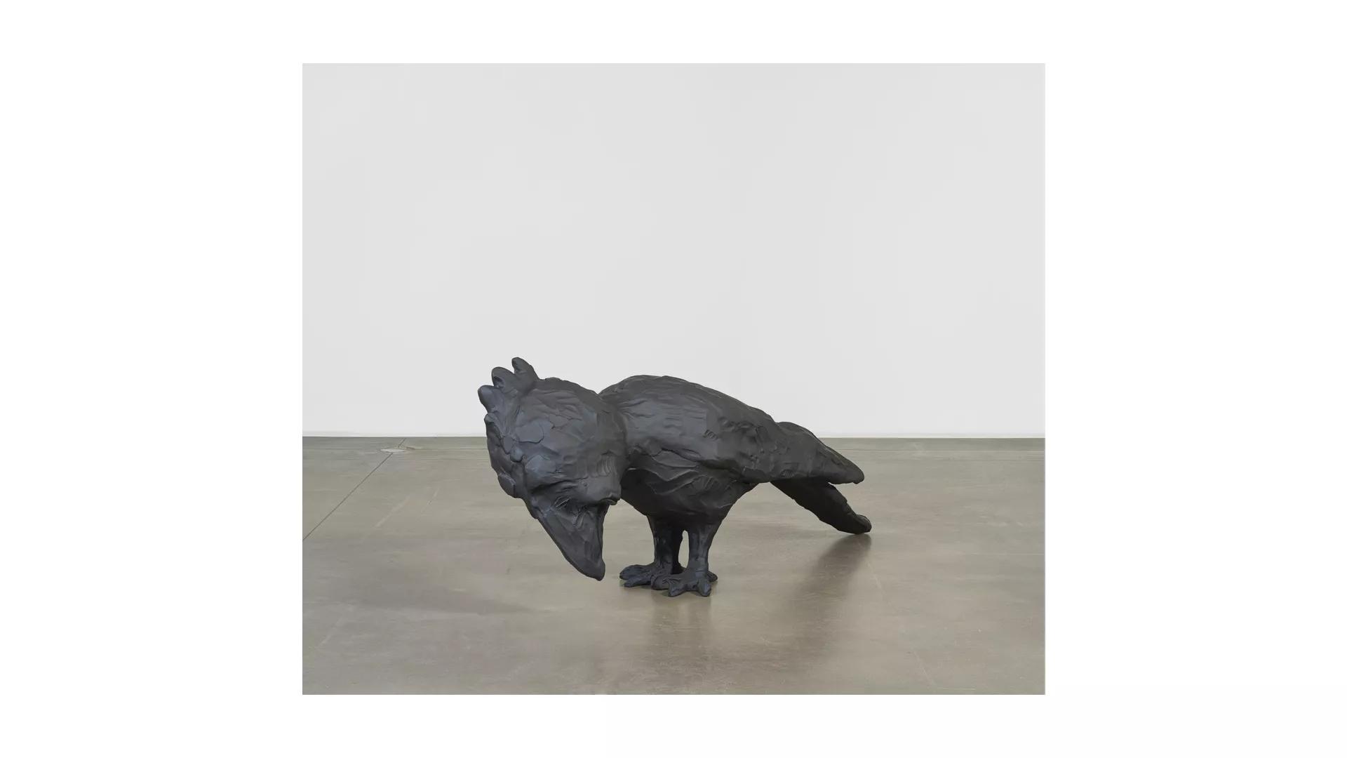Image for exhibition titled Untitled (Crow 2)