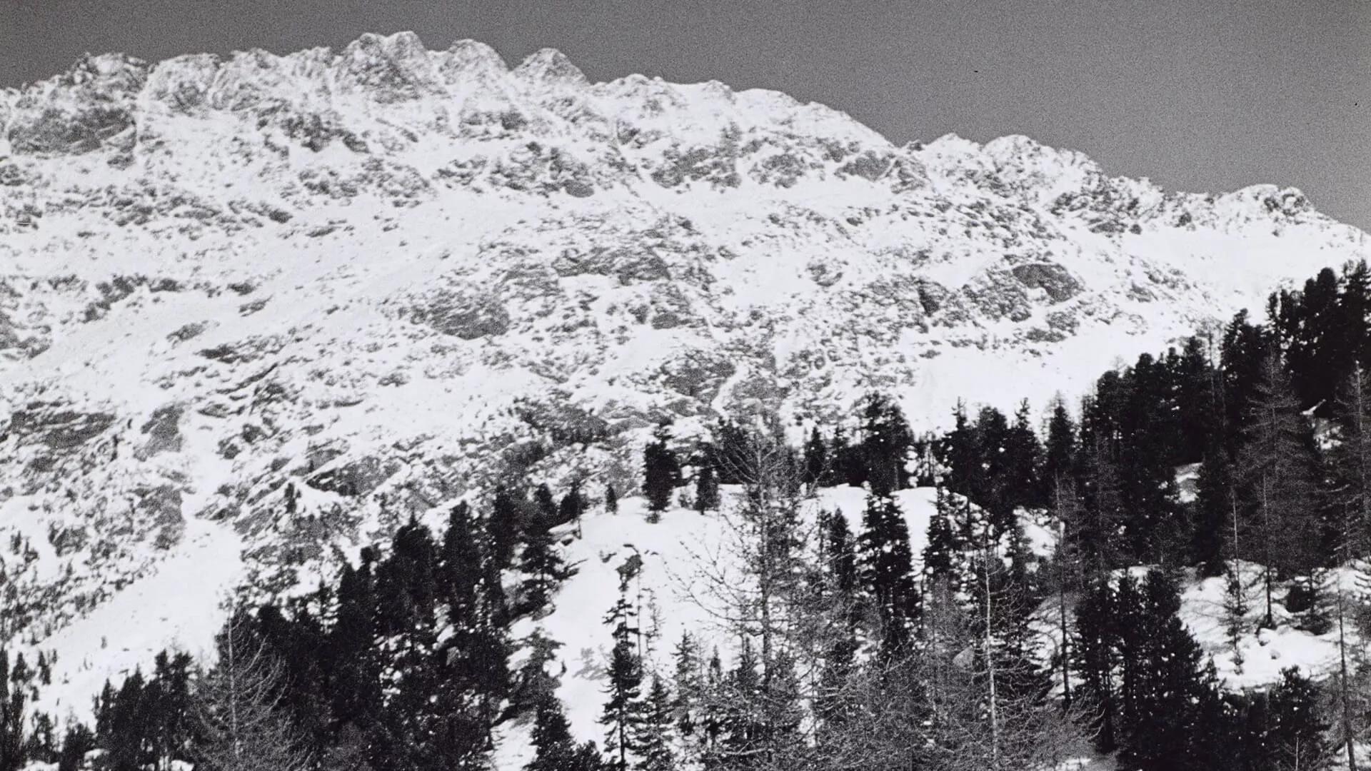 Image for exhibition 