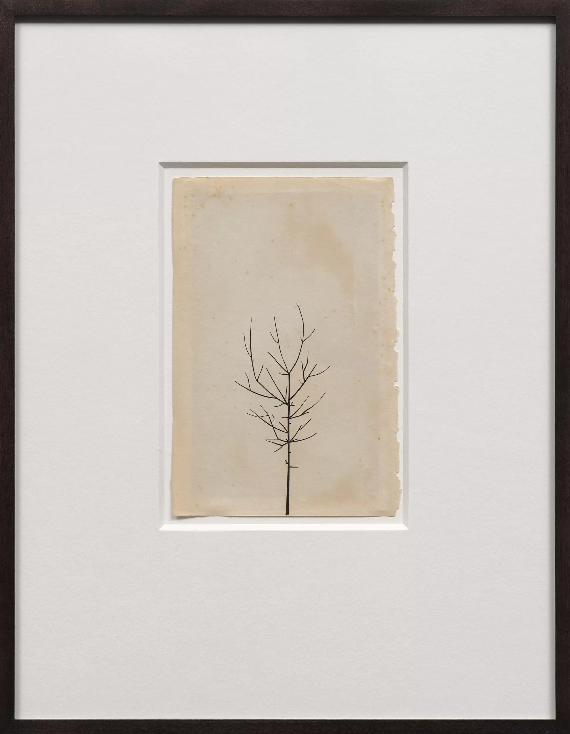 Image for exhibition titled Peter Liversidge