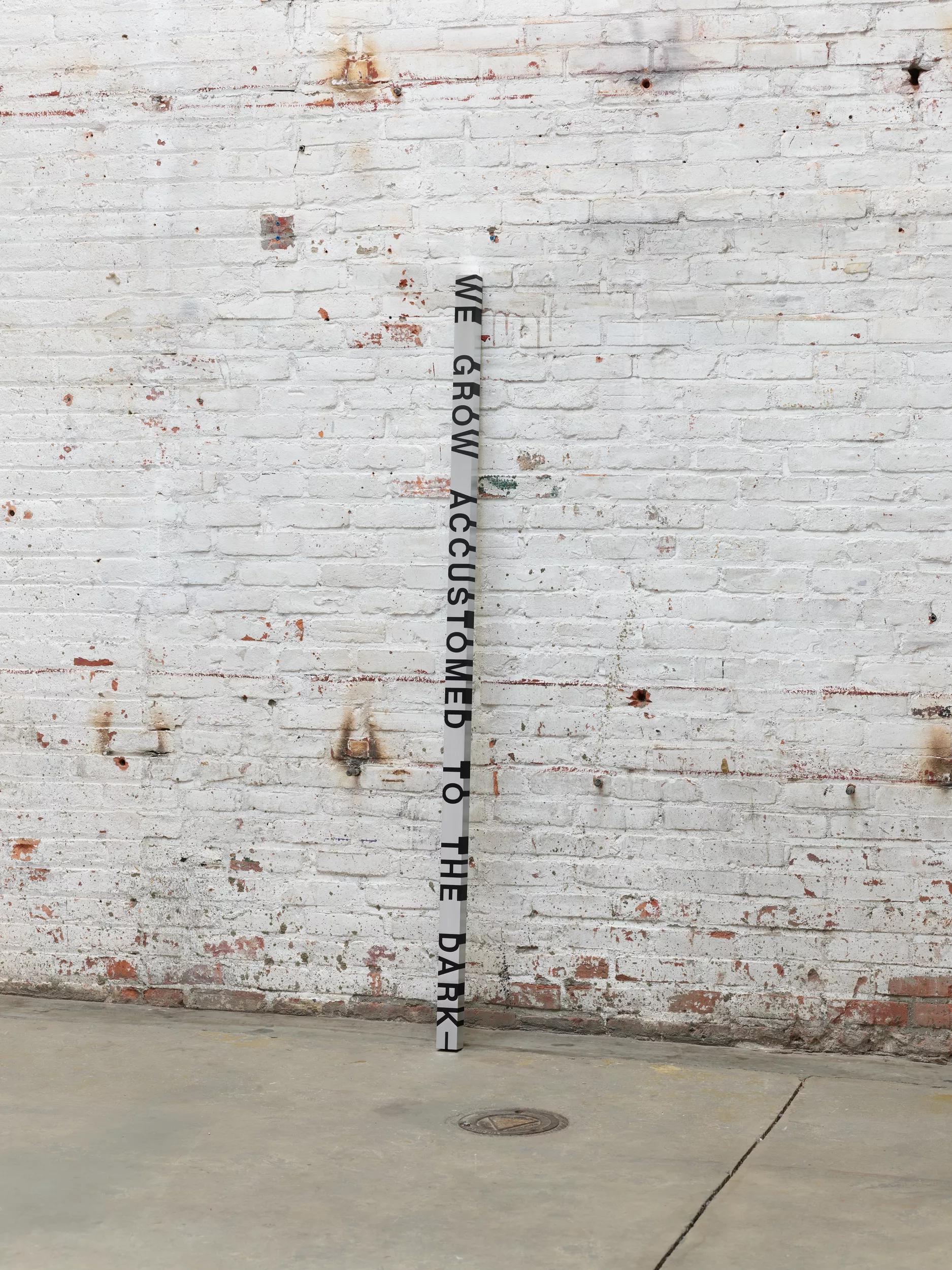 Image for exhibition titled Roni Horn
