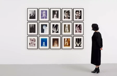 Thumbnail image for exhibition titled Mike Kelley