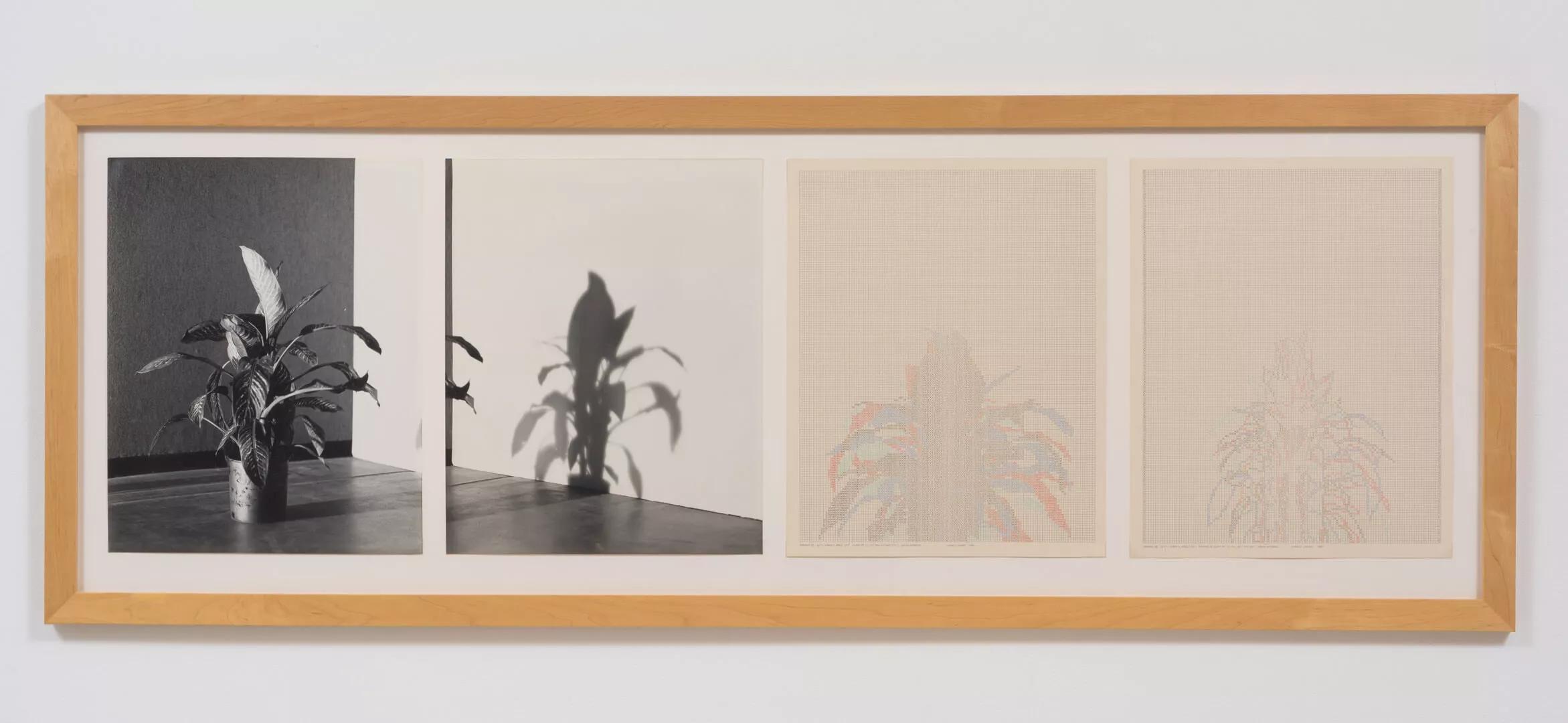 Image for exhibition titled Shadows XI, Set 4