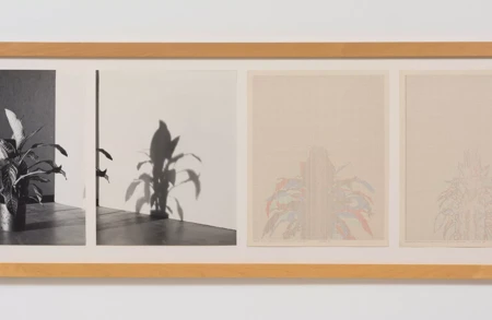 Thumbnail image for exhibition titled Charles Gaines