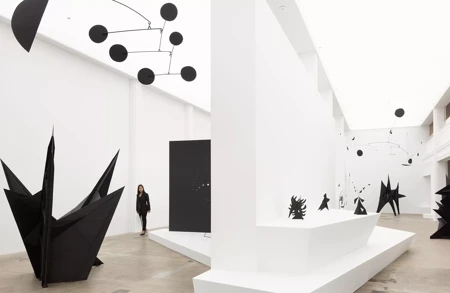 Thumbnail Image for Ursula Article titled Calder: Nonspace