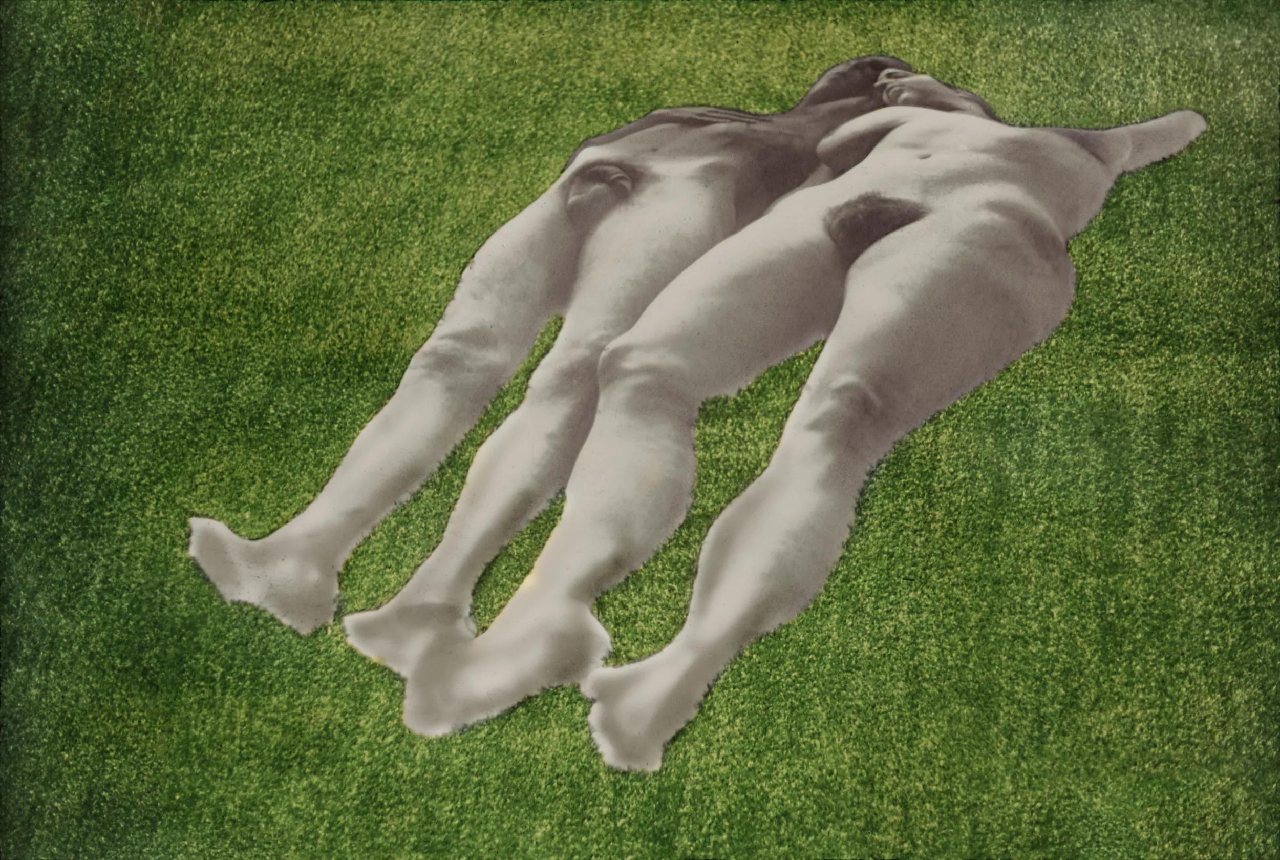 Image for The Photographic Object, <br>1970