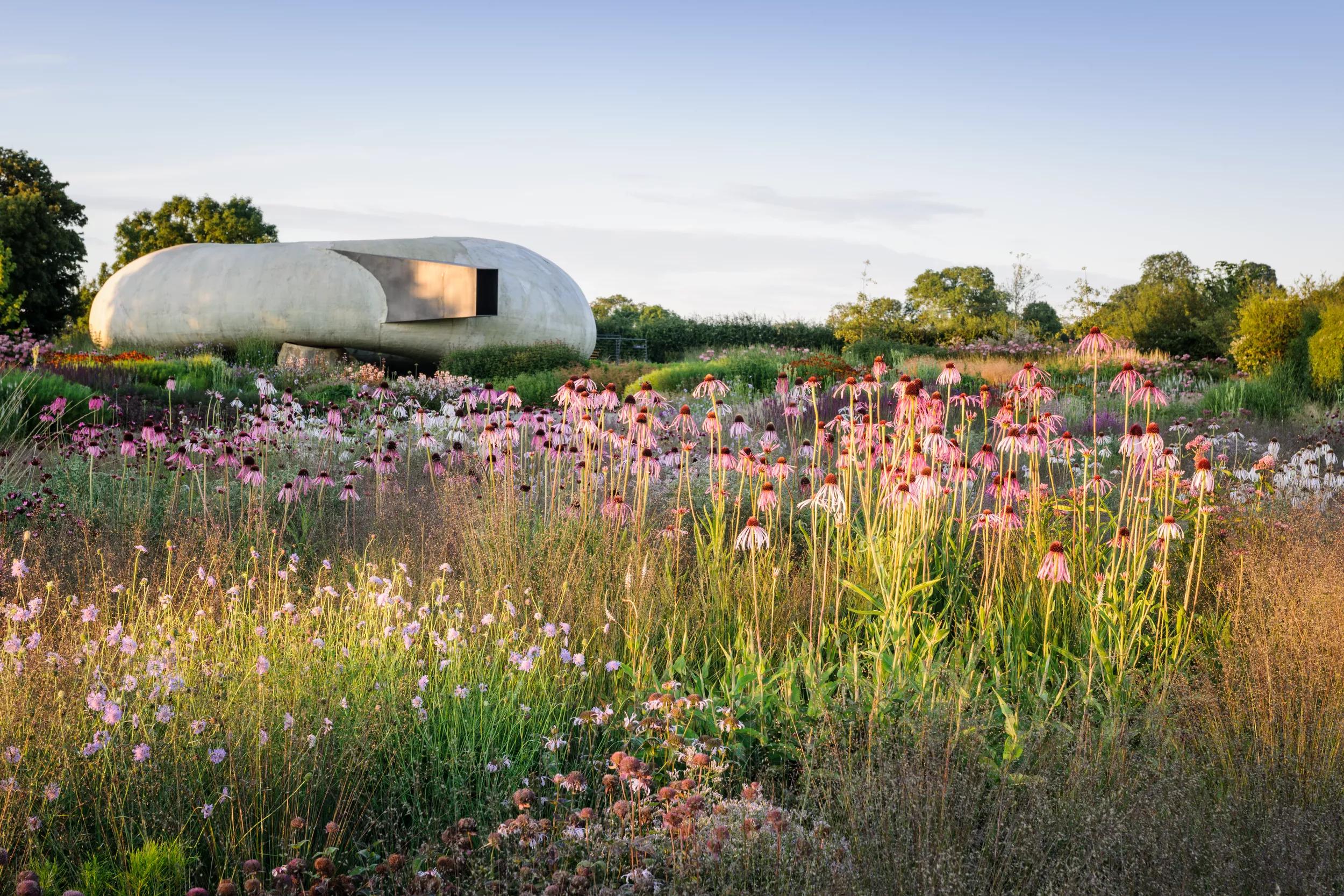 Hero image for event titled Guided Tour: Oudolf Field with Head Gardener Mark Dumbelton