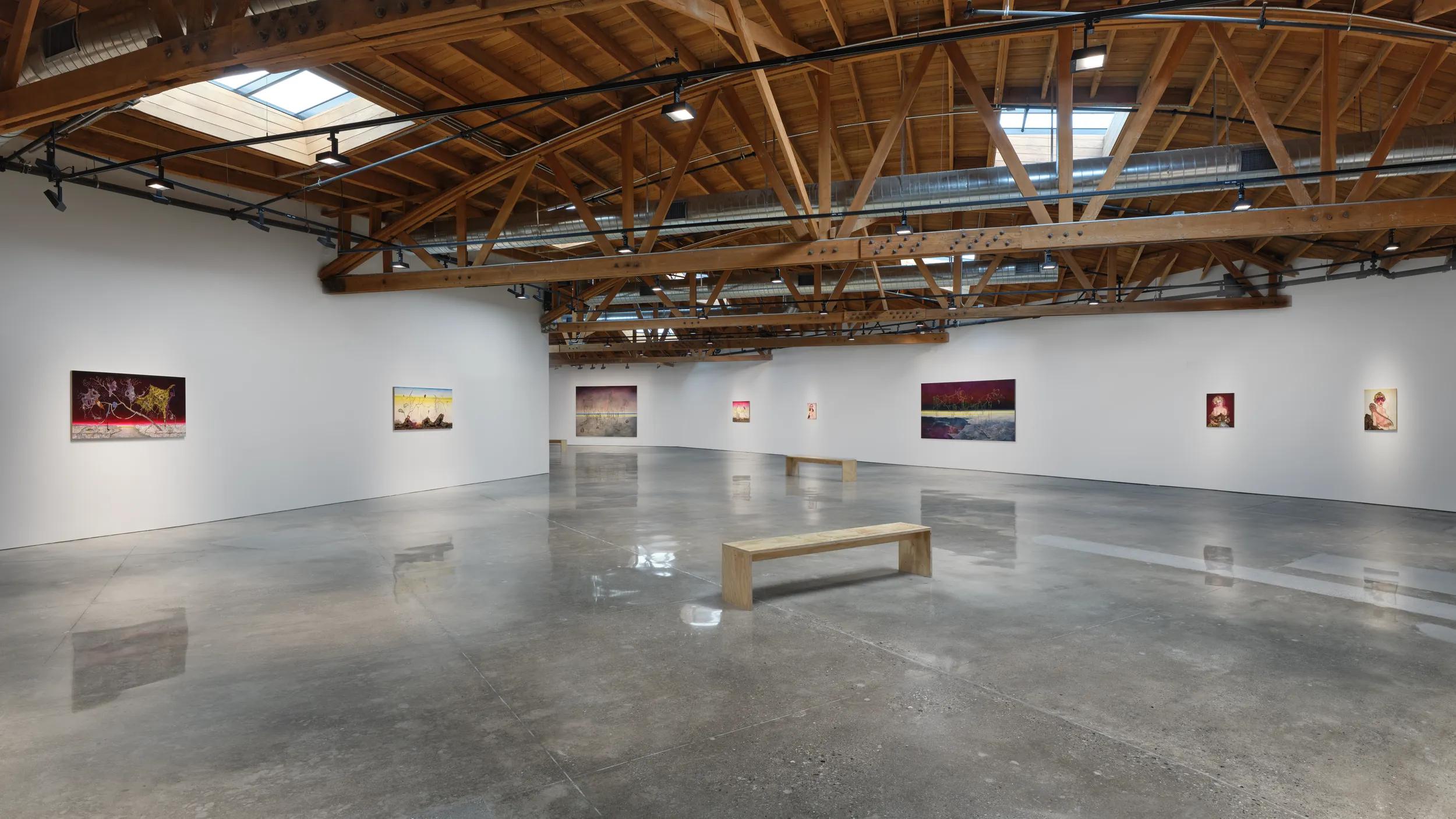 Installation view image for INSTALLATION VIEWS