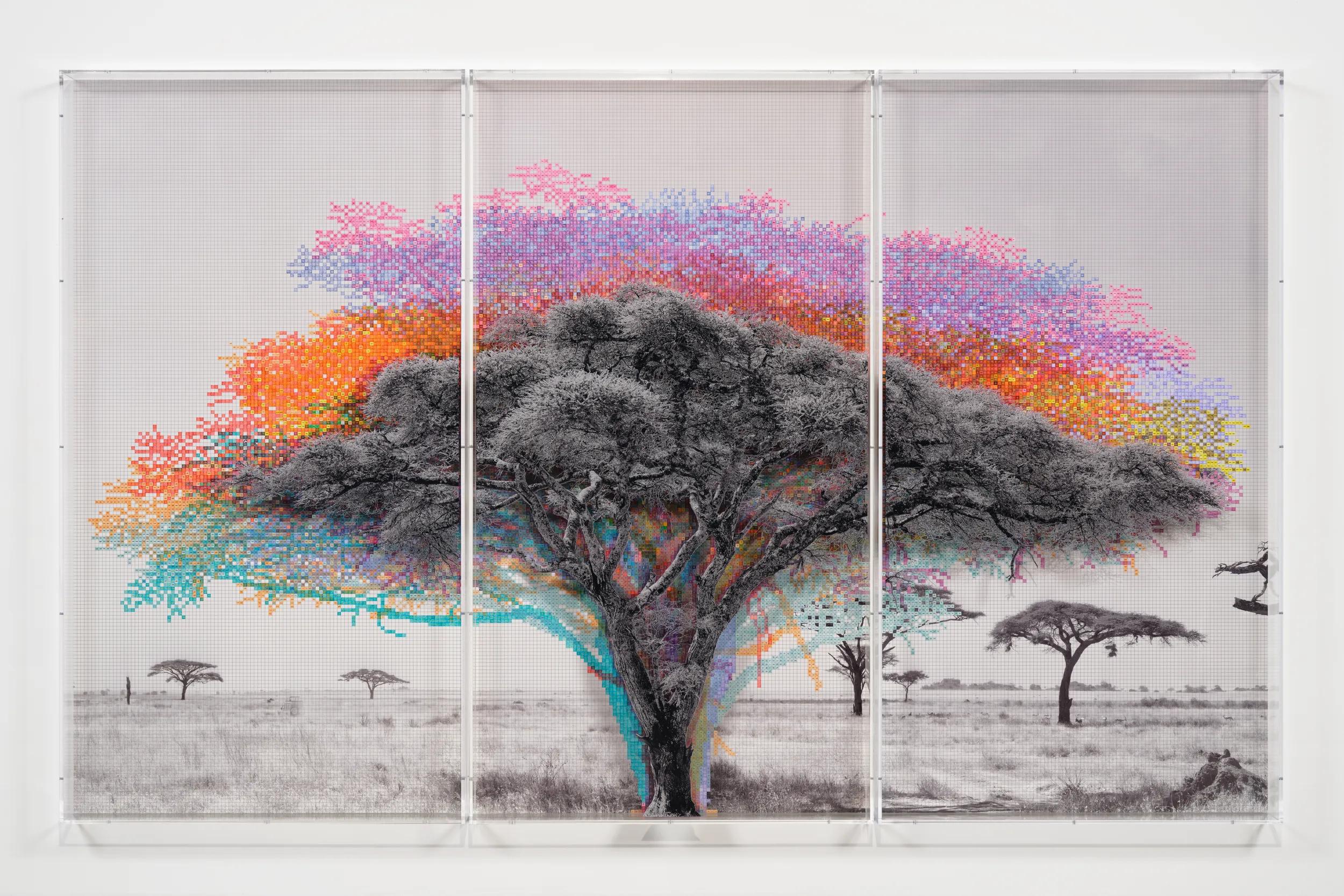 Image for exhibition titled Charles Gaines