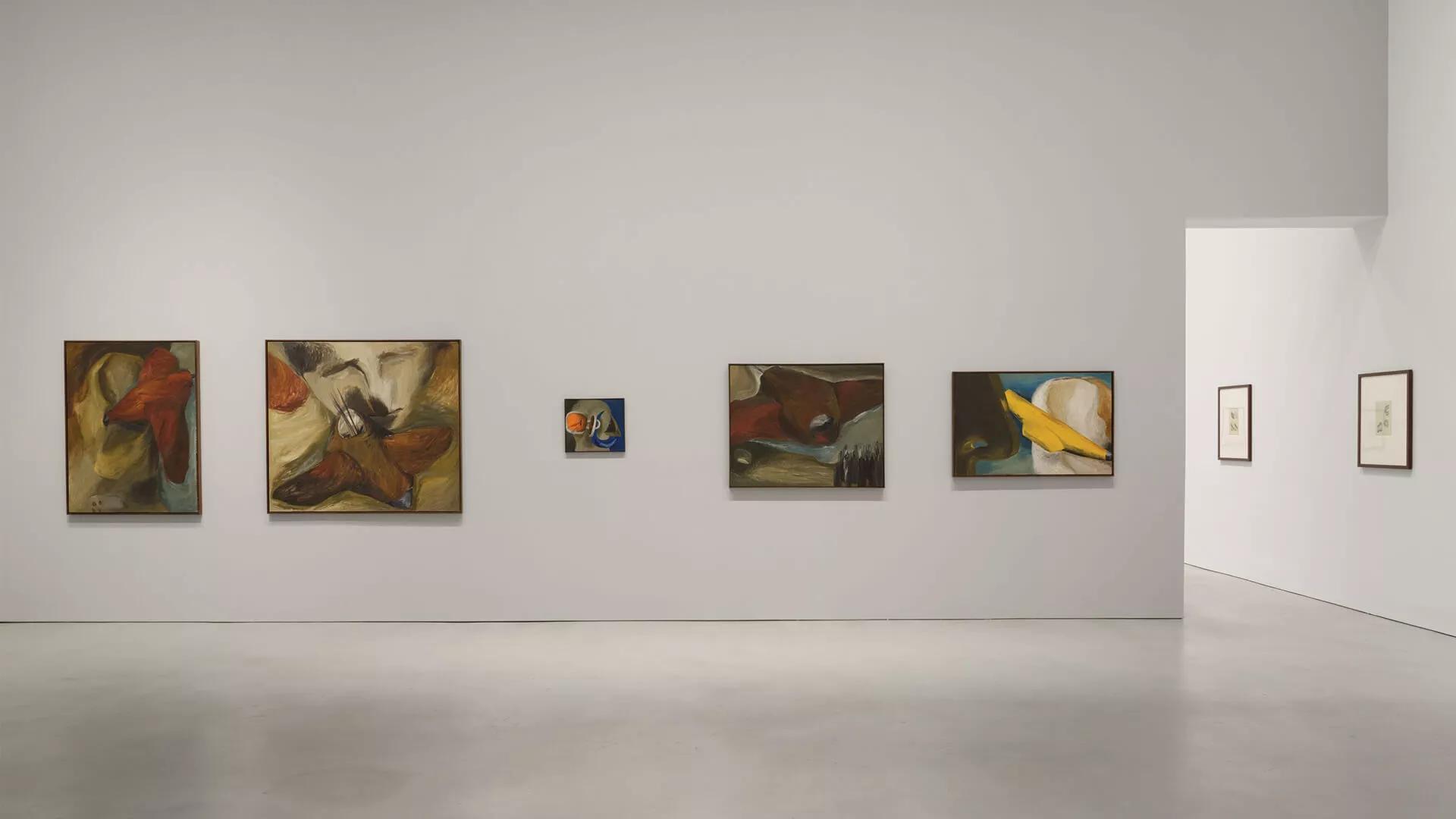 Image for exhibition 
