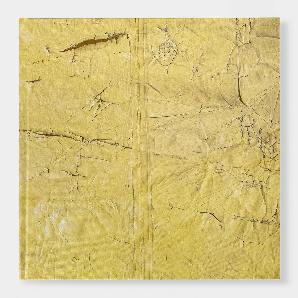 Image for David Hammons