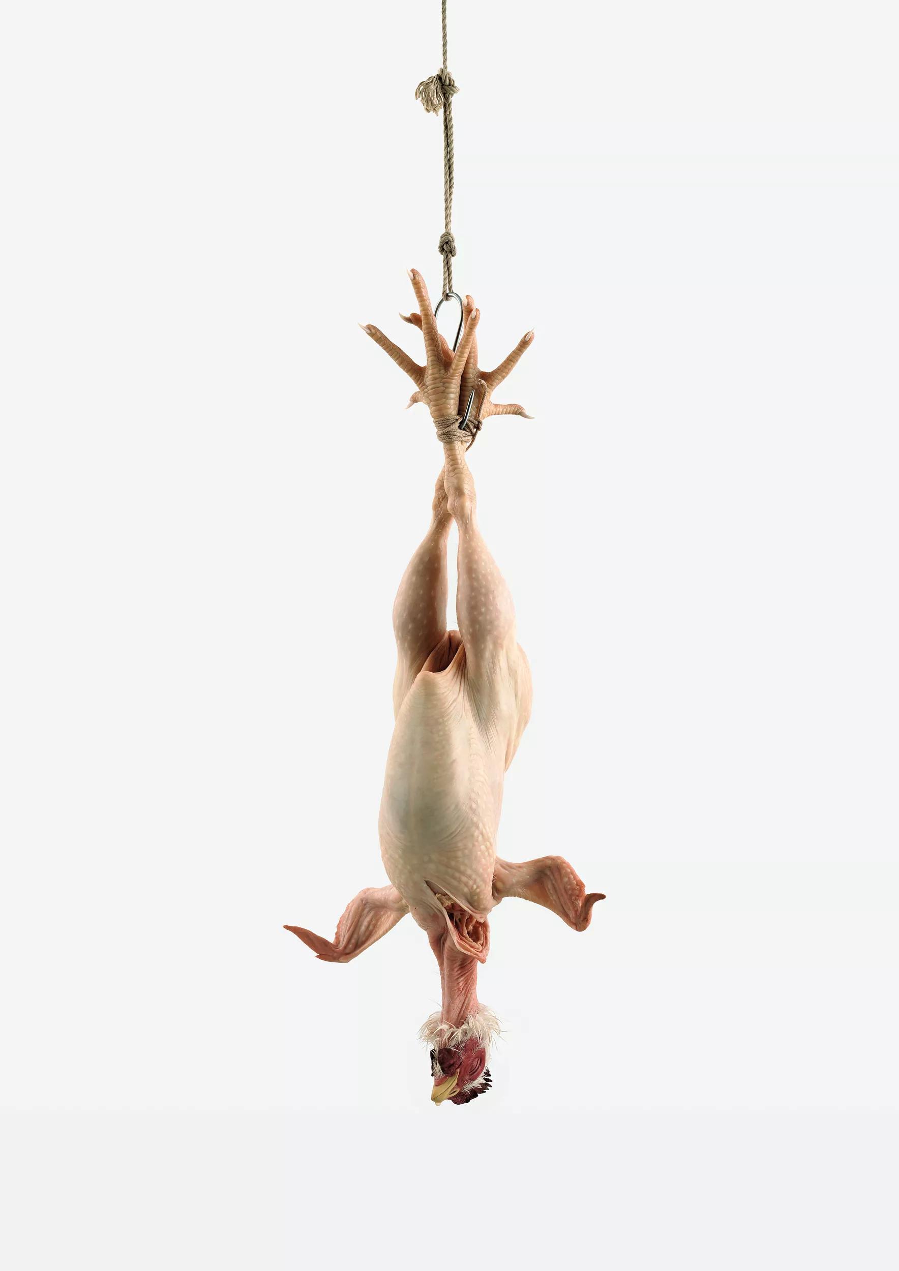 Image for Ron Mueck