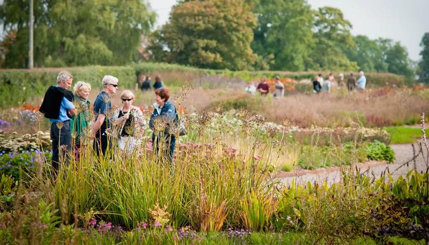 Hero image for event titled Tour of Oudolf Field with Head Gardener Mark Dumbelton