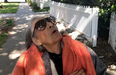 Thumbnail Image for Ursula Article titled From Los Angeles: Luchita Hurtado