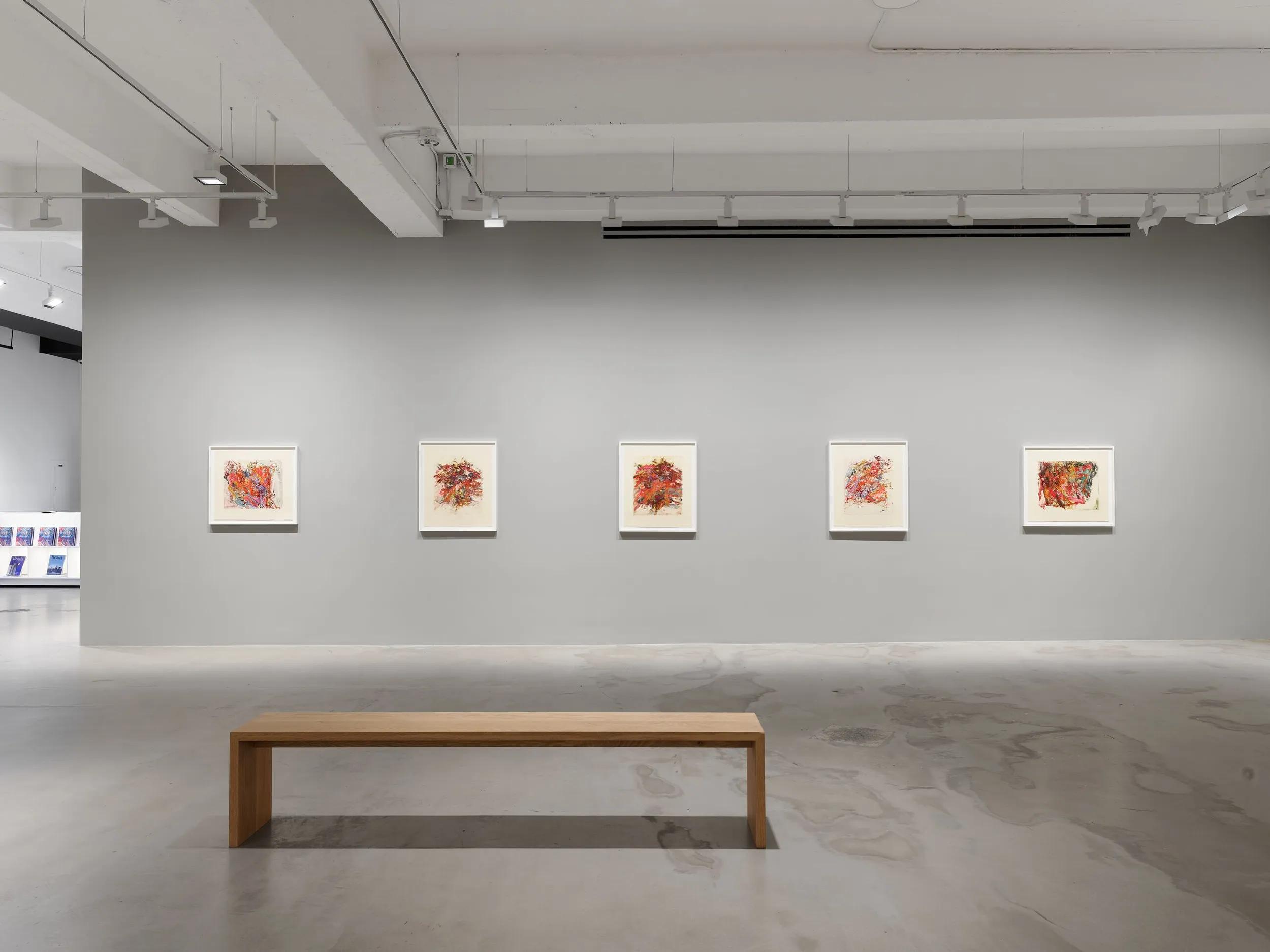 Installation view image for Installation Views