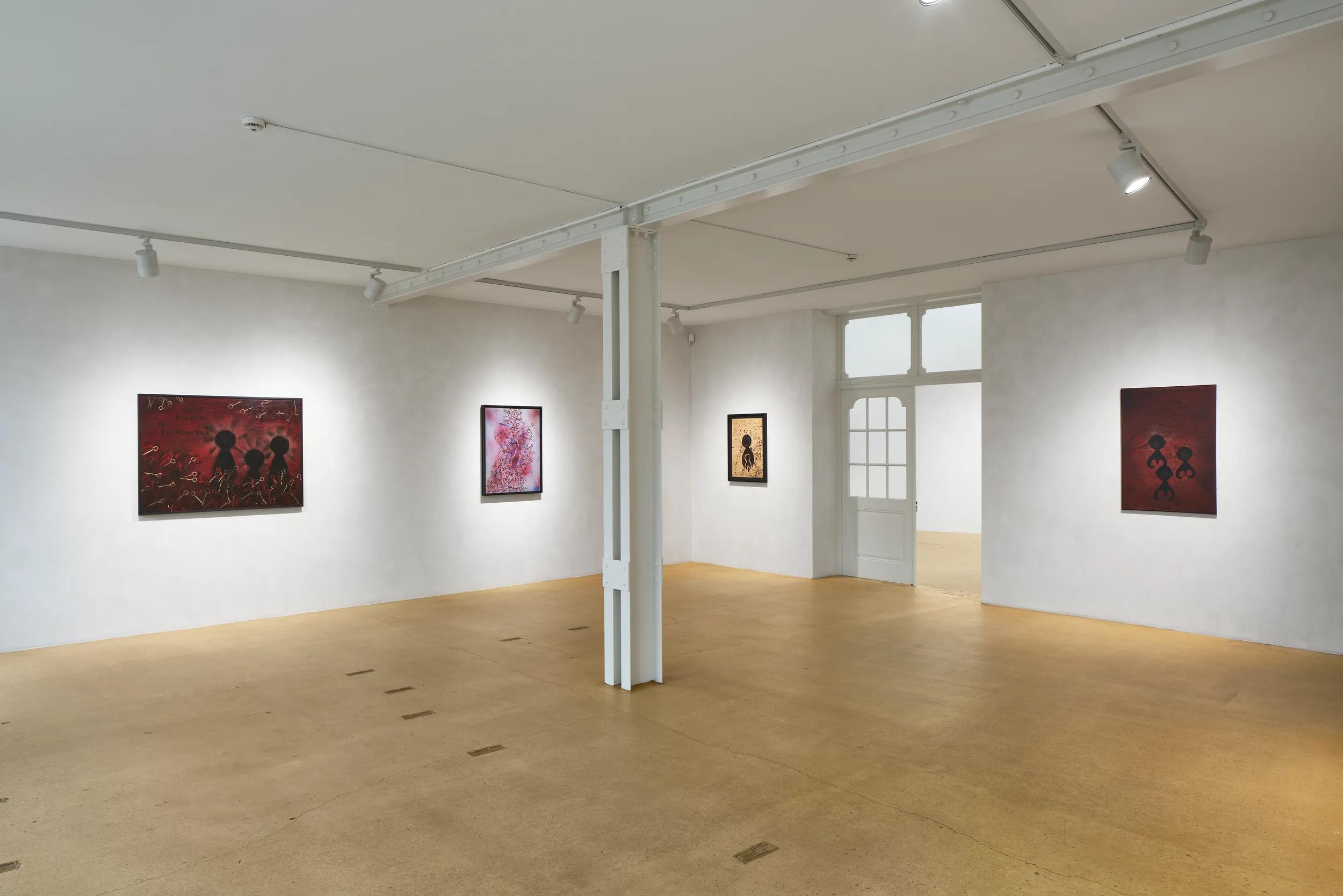 Installation view image for Installation Views