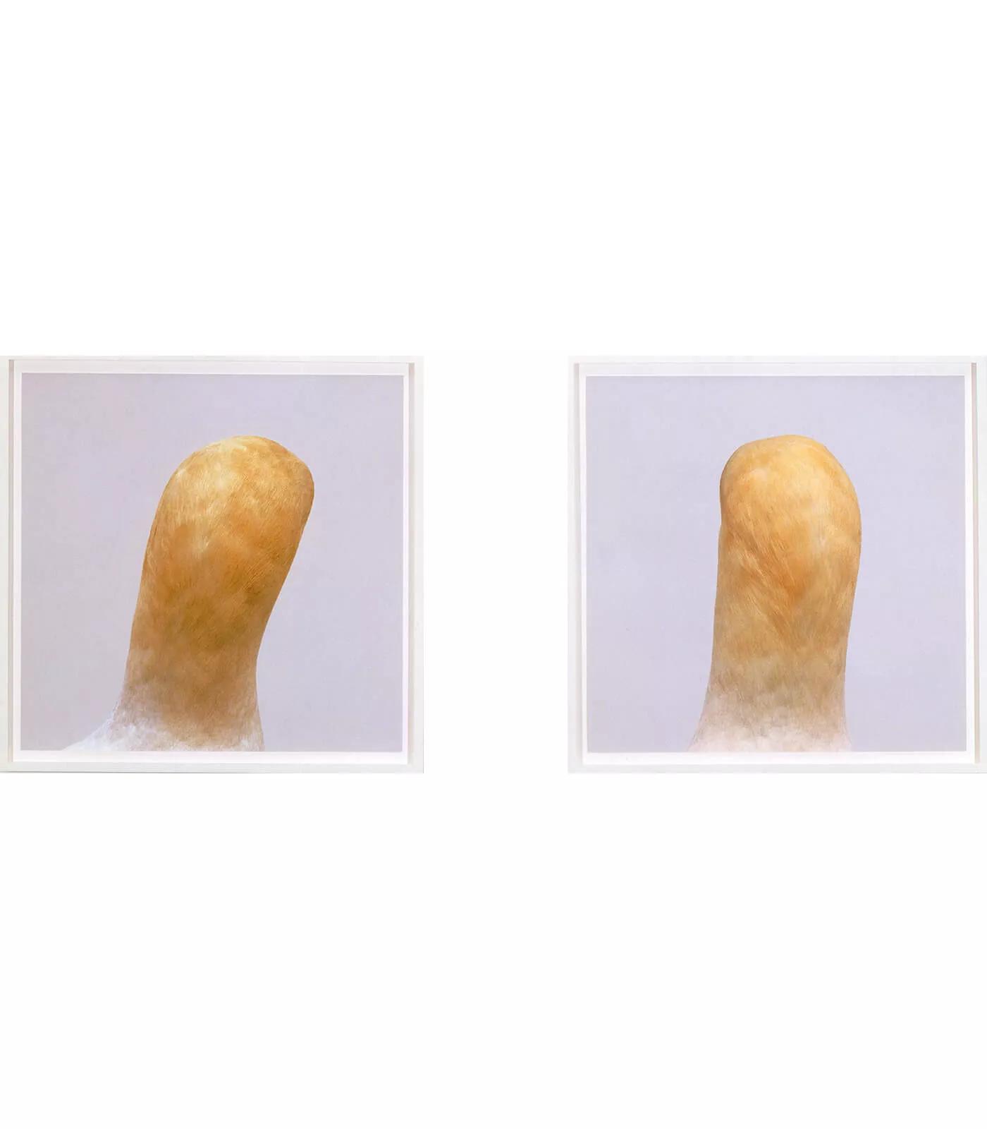 Image for exhibition titled Roni Horn