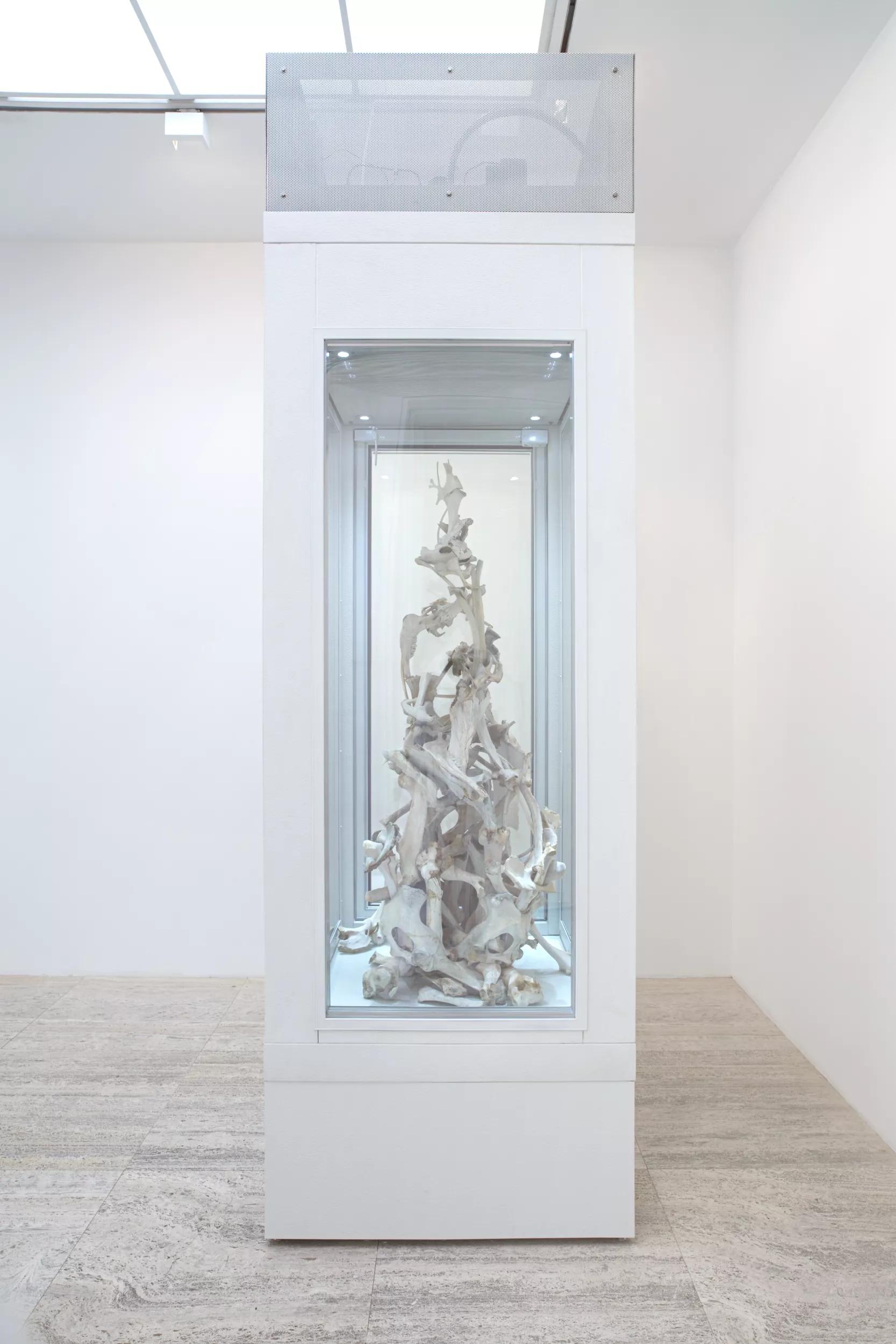 Image for exhibition titled Larry Bamburg