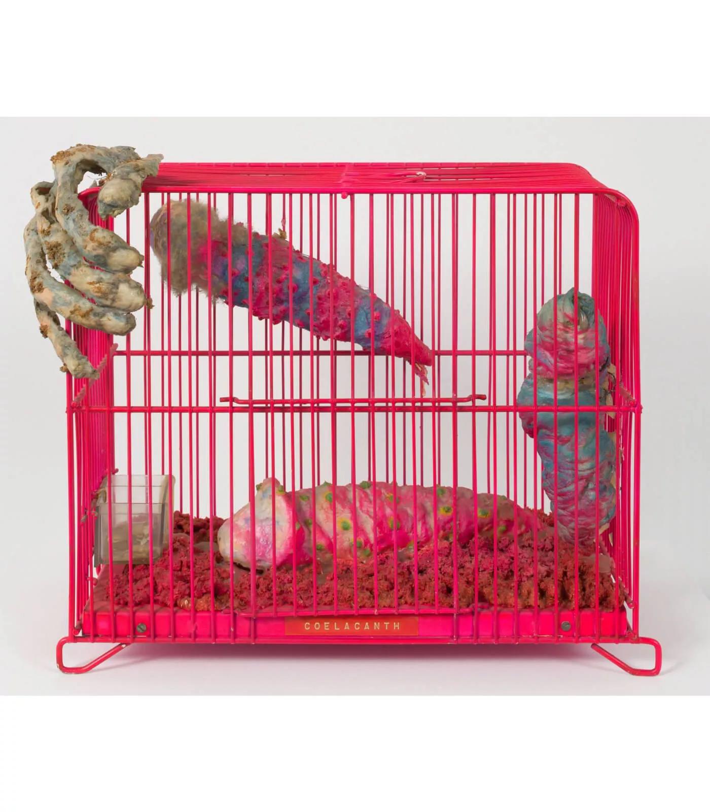 Image for exhibition titled Tetsumi Kudo