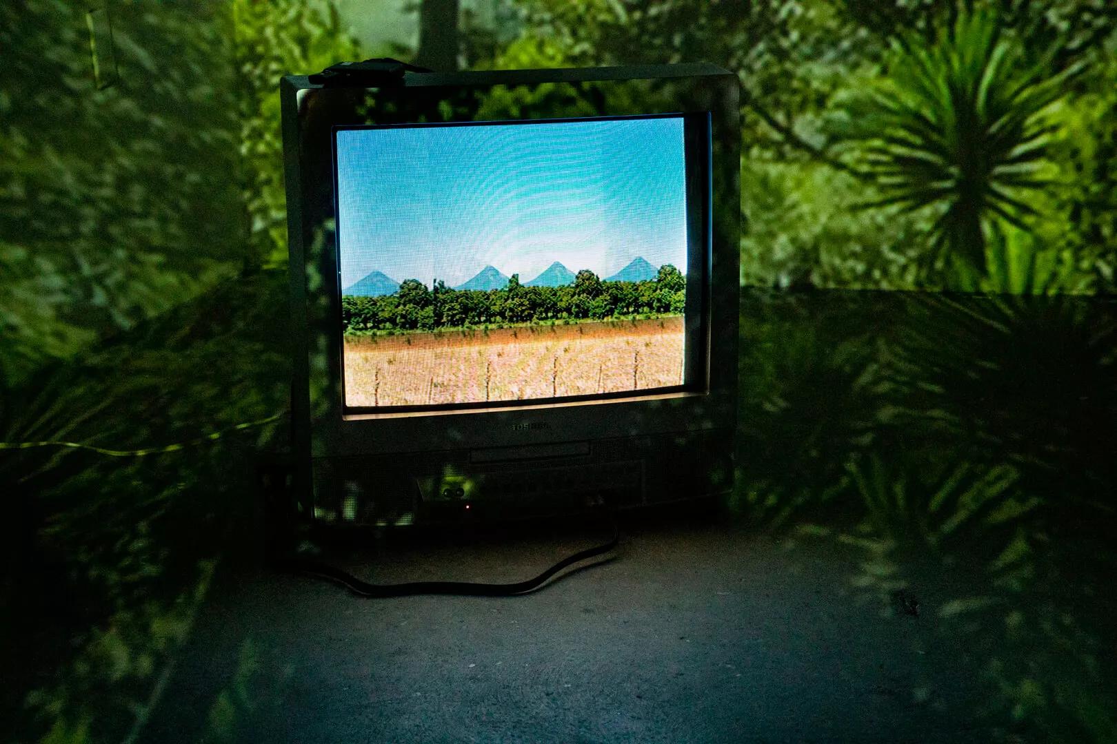 Thumbnail image for exhibition titled Portals