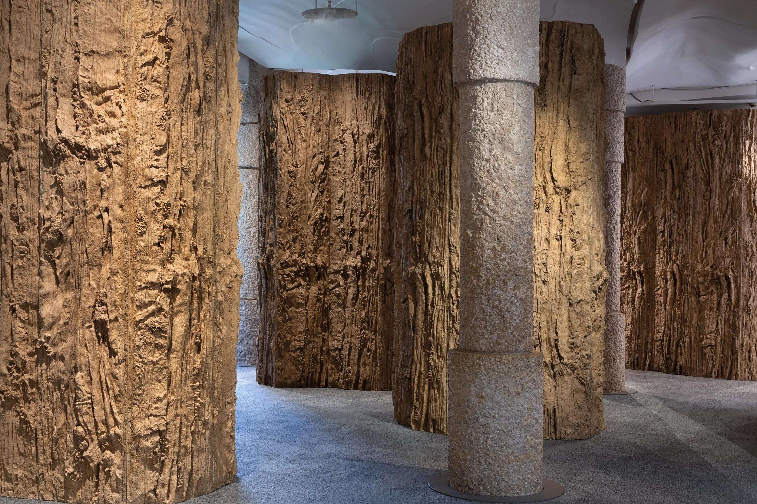 Image for exhibition 