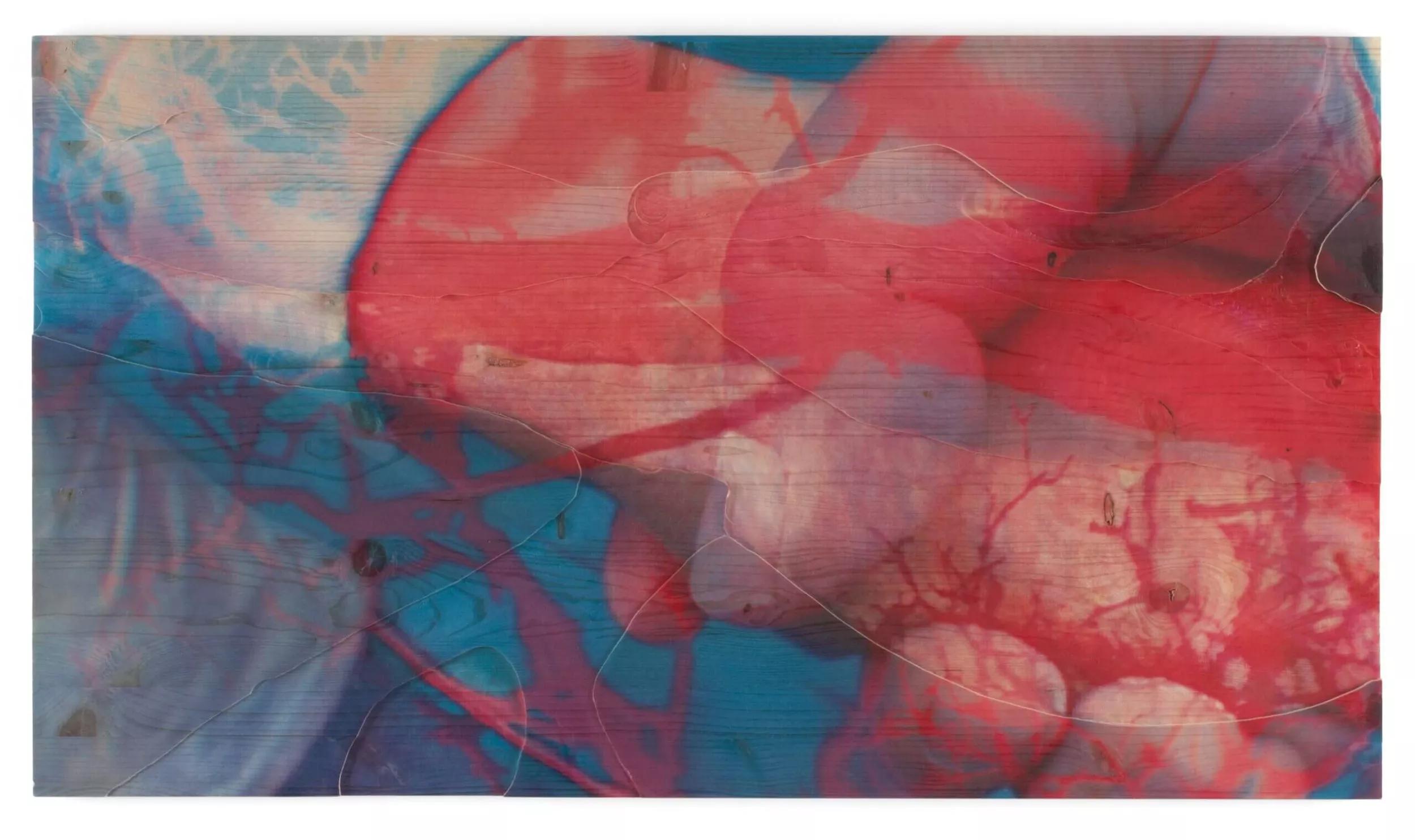 Image for exhibition titled Pipilotti Rist