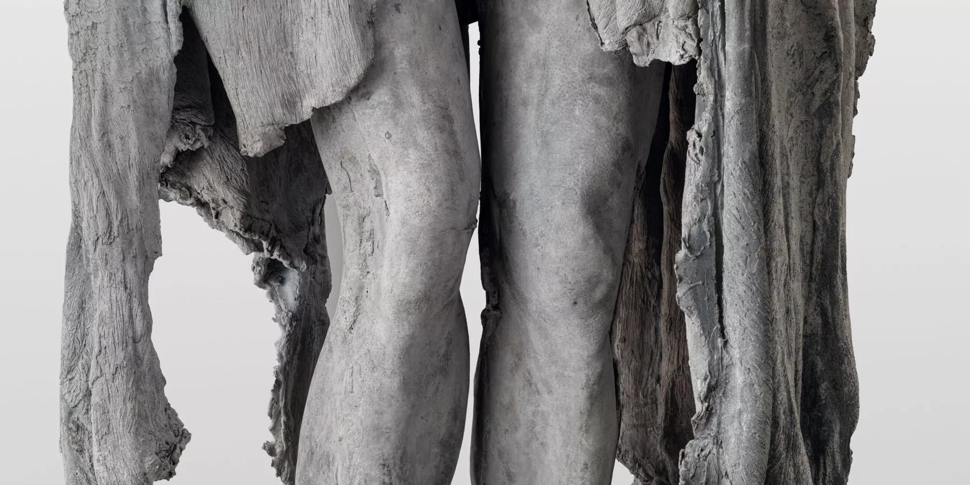 Hero image for exhibition titled Berlinde De Bruyckere