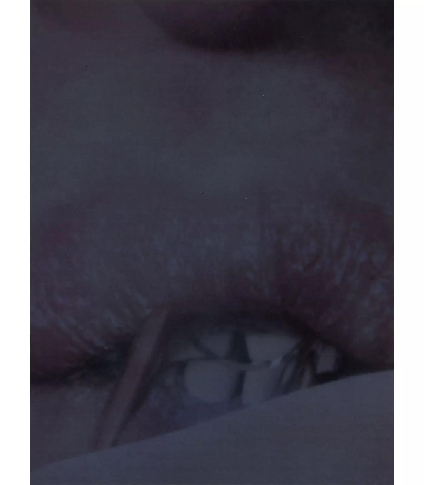 Image for exhibition titled Avery Singer