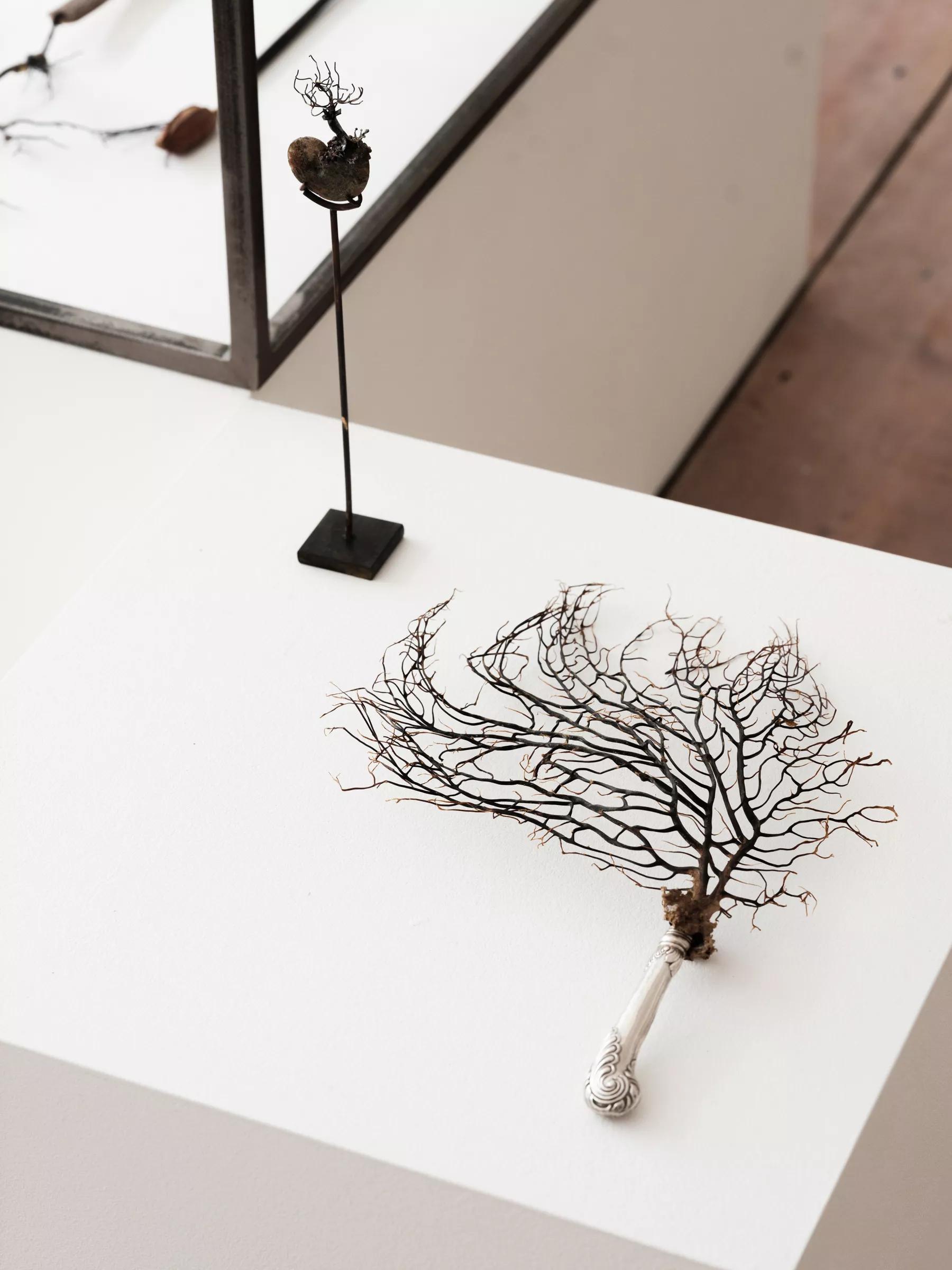 Image for exhibition 