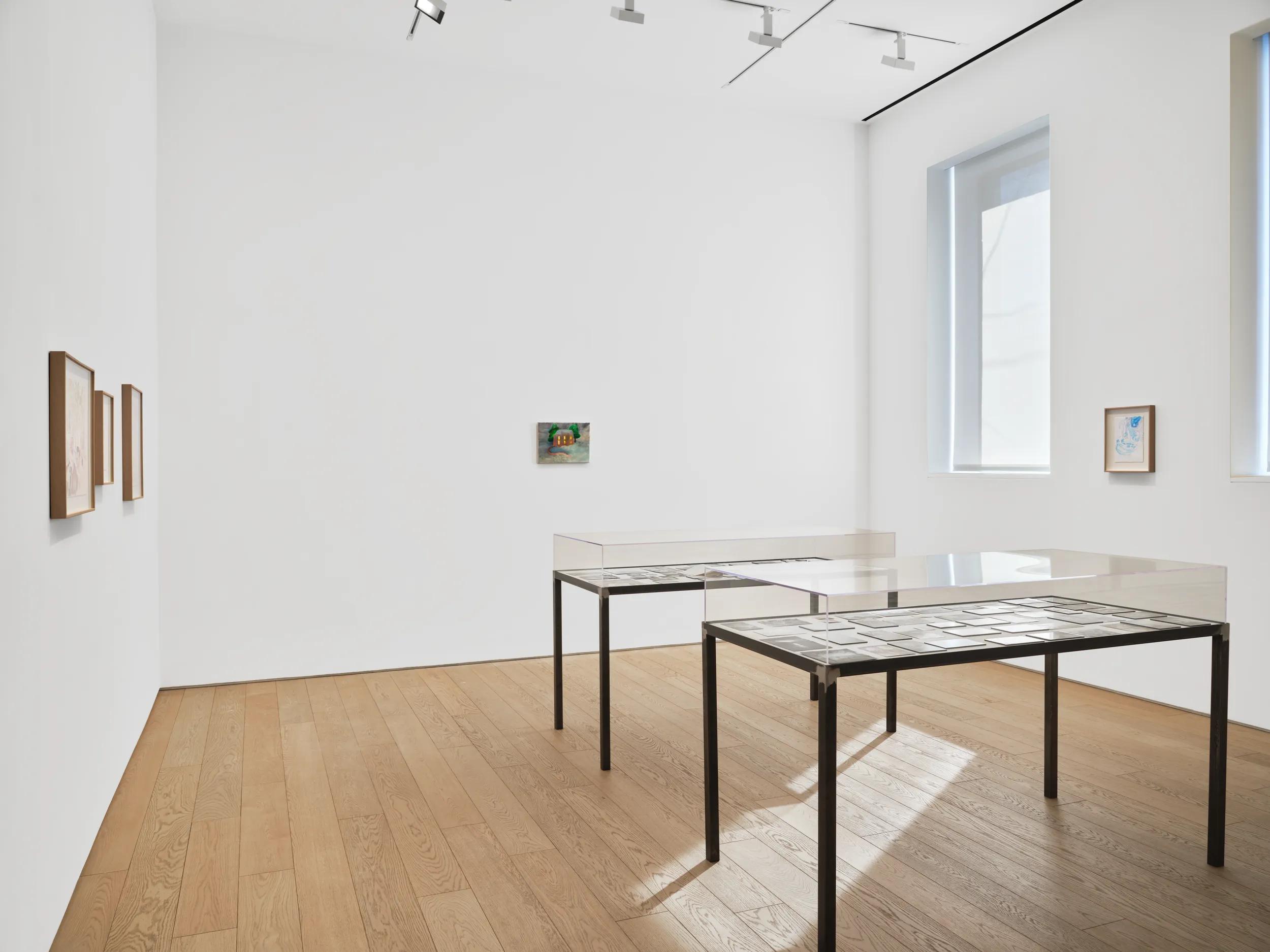 Installation view image for INSTALLATION VIEWS