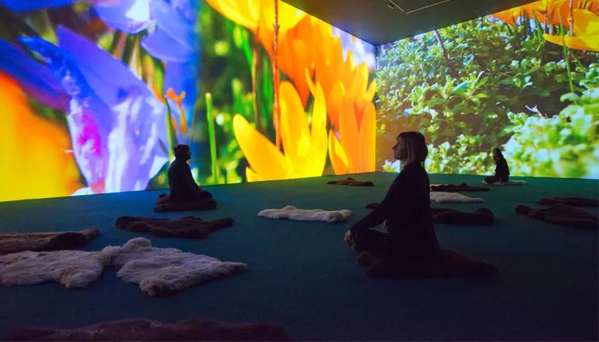 Hero image for event titled Arthaus Introduce Pipilotti Rist, Stay Stamina Stay