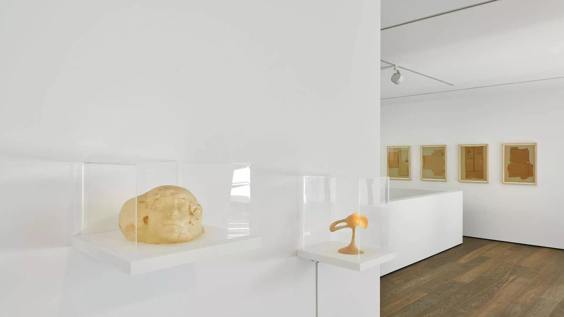Image for exhibition 
