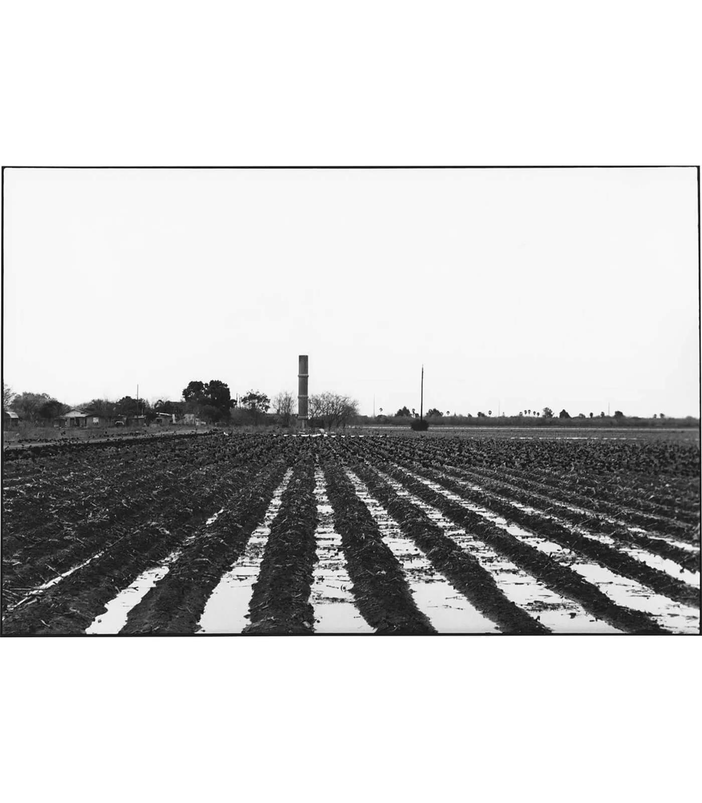 Image for exhibition 
