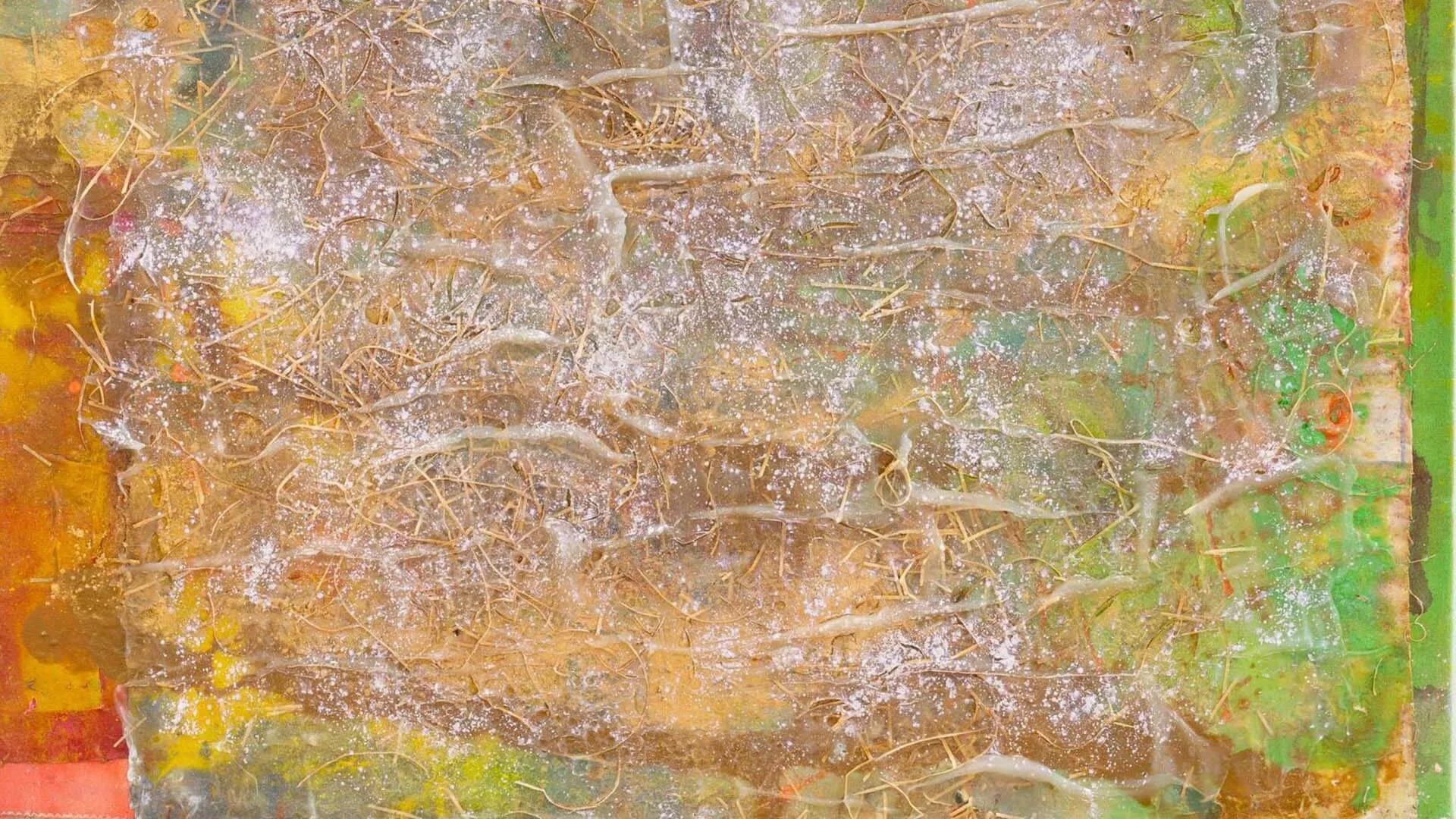 Image for exhibition 