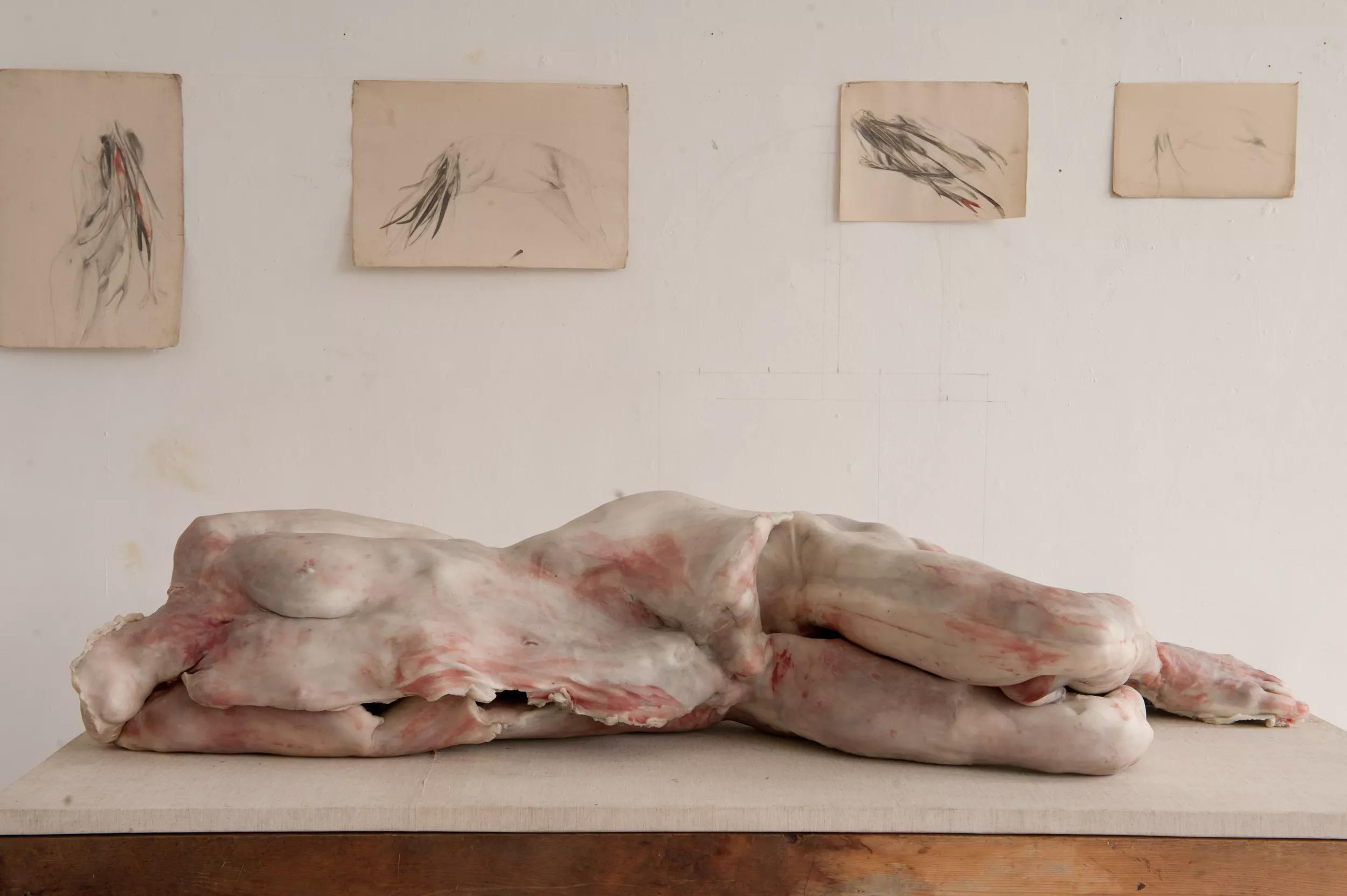 Image for Berlinde De Bruyckere