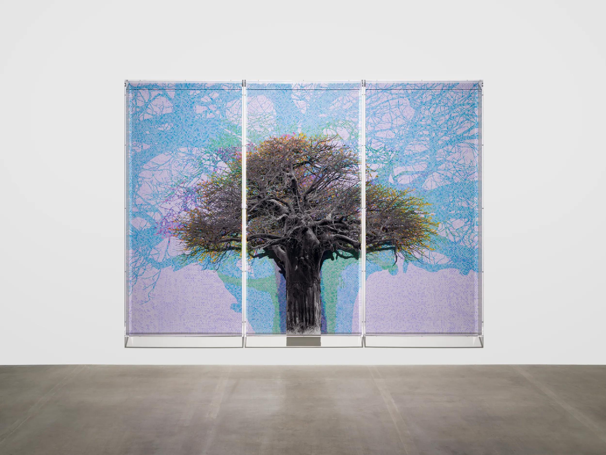 Image for exhibition titled Charles Gaines