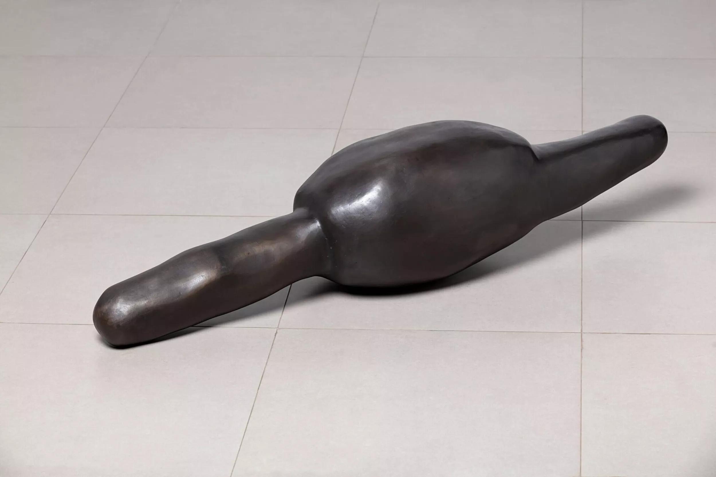 Image for exhibition titled Anna Maria Maiolino