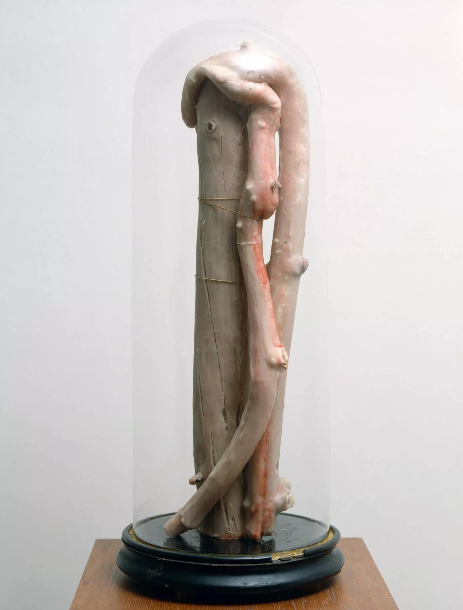 Image for exhibition titled Berlinde  De Bruyckere