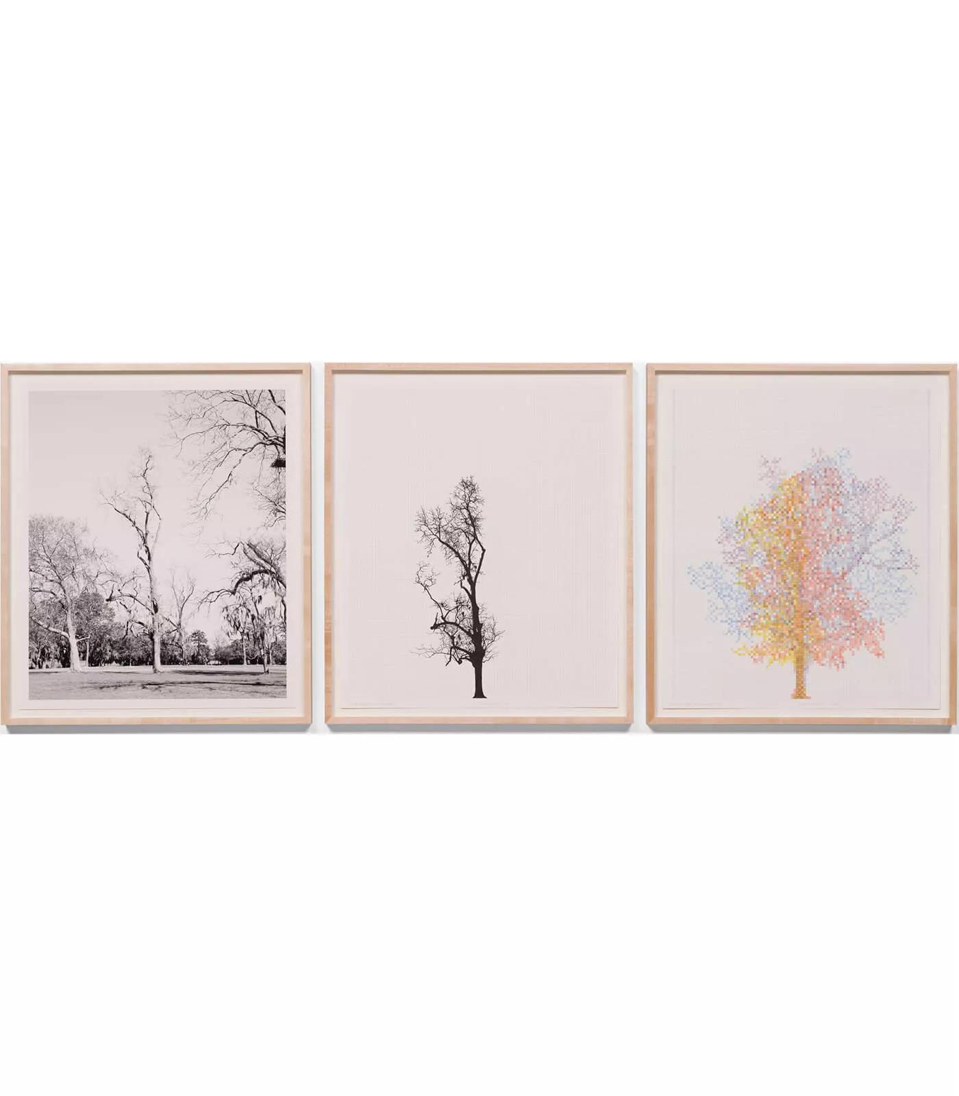 Image for exhibition titled Charles Gaines