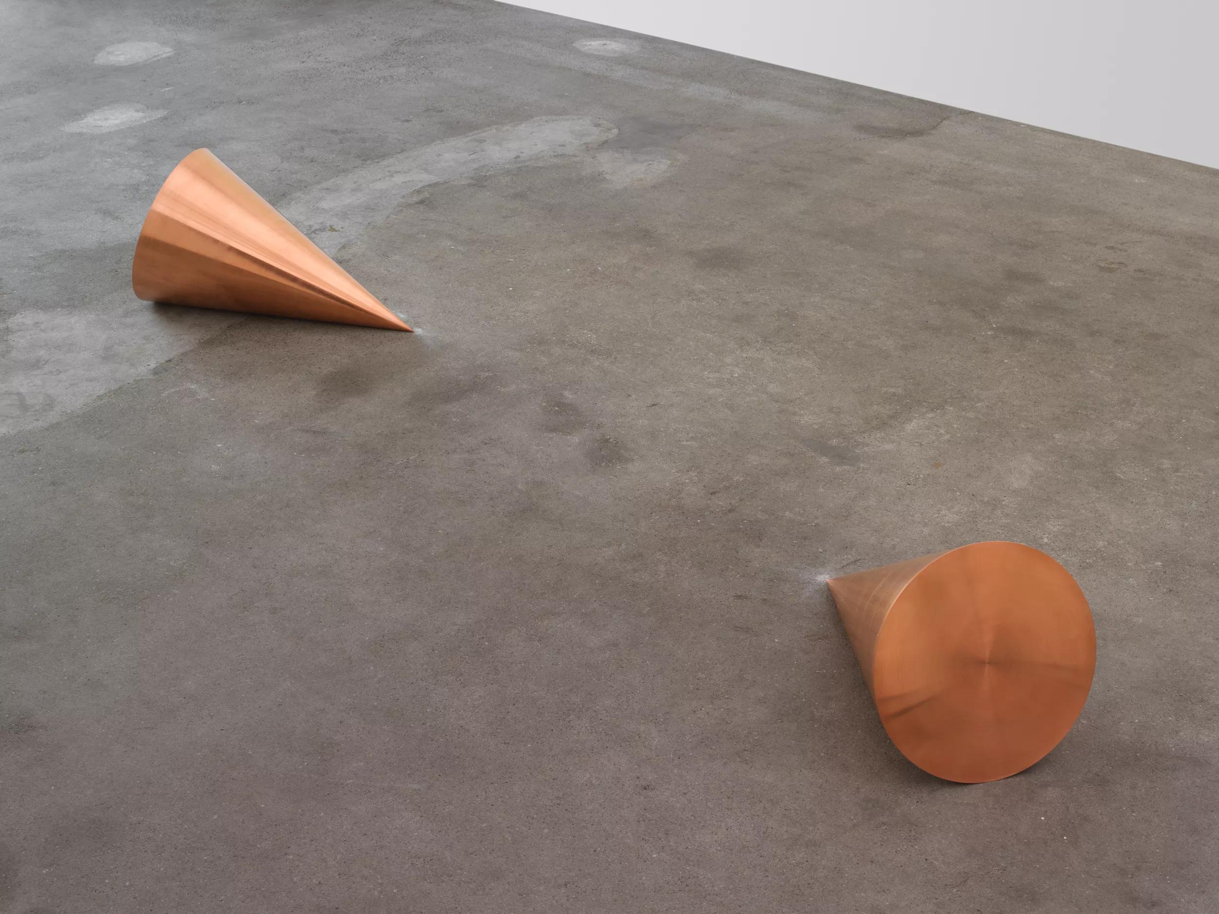 Image for exhibition titled Roni Horn